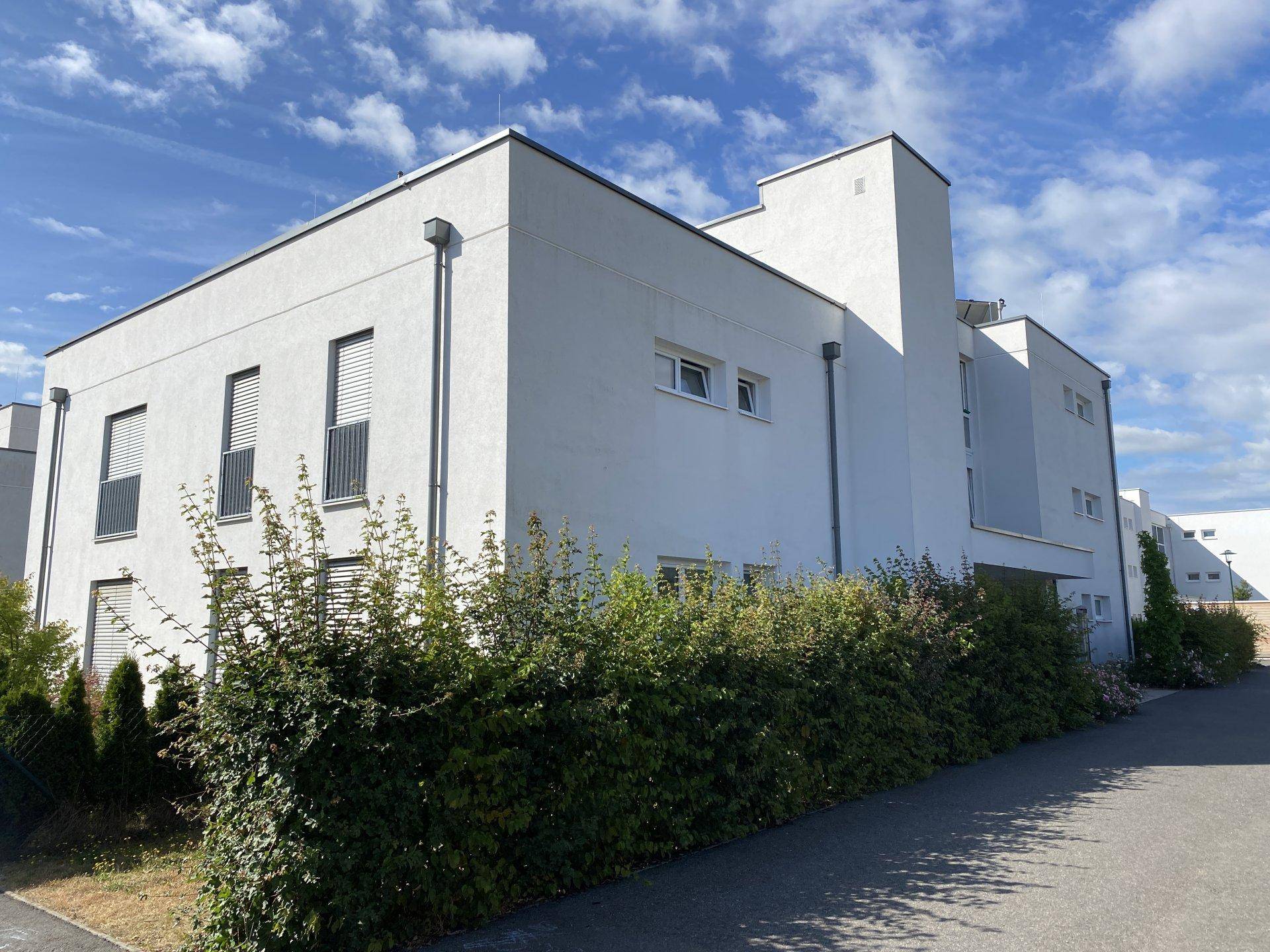 Seitenansicht eines modernen Gebäudes mit weißer Fassade, großen Fenstern und grüner Hecke im Vordergrund.