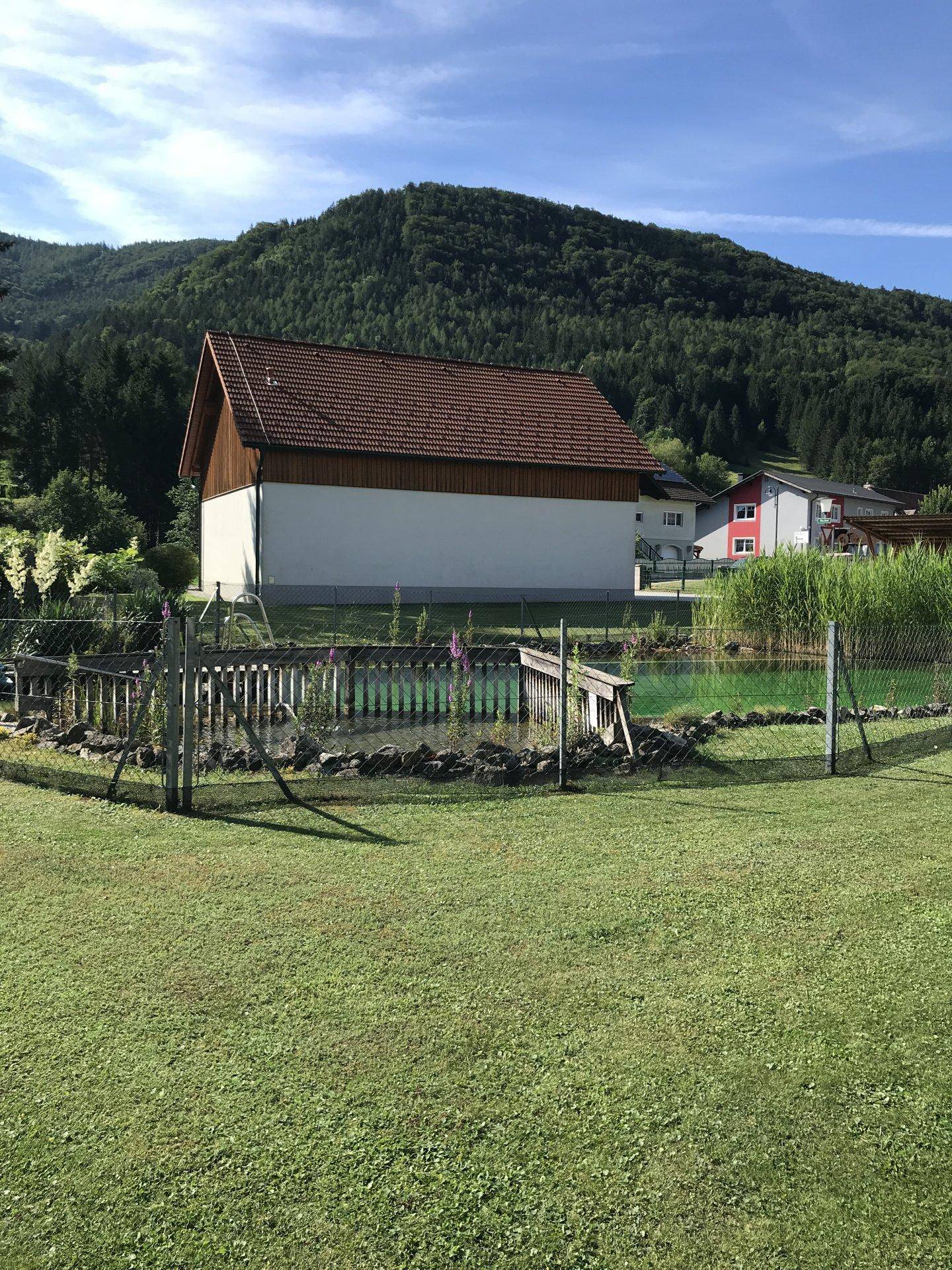 Grüner Rasenbereich mit einem Naturschwimmteich und einem Wohnhaus im Hintergrund vor bewaldeten Bergen.