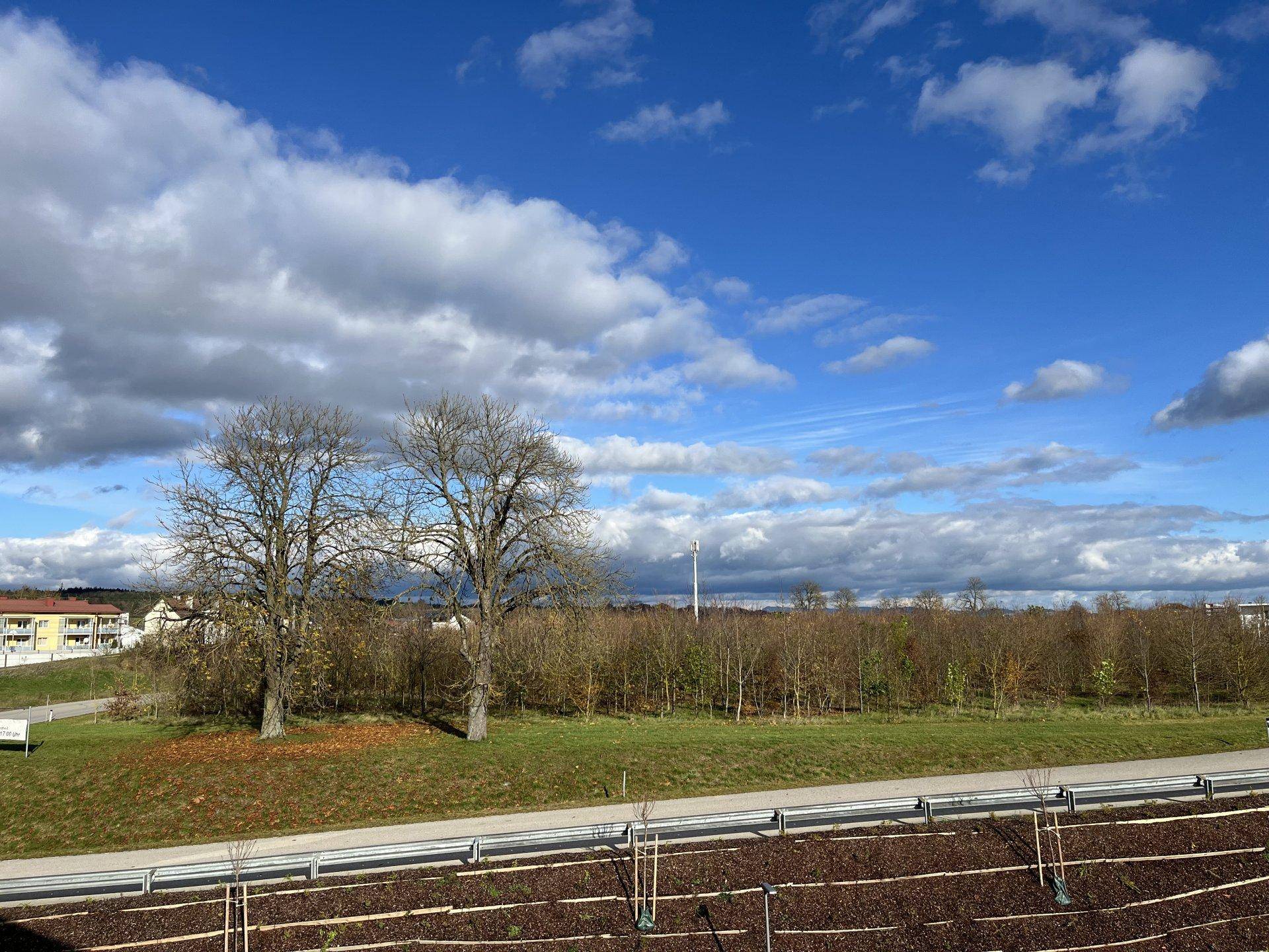 Weitläufiger Blick auf die grüne Landschaft und den blauen Himmel mit Wolken von der Immobilie aus.
