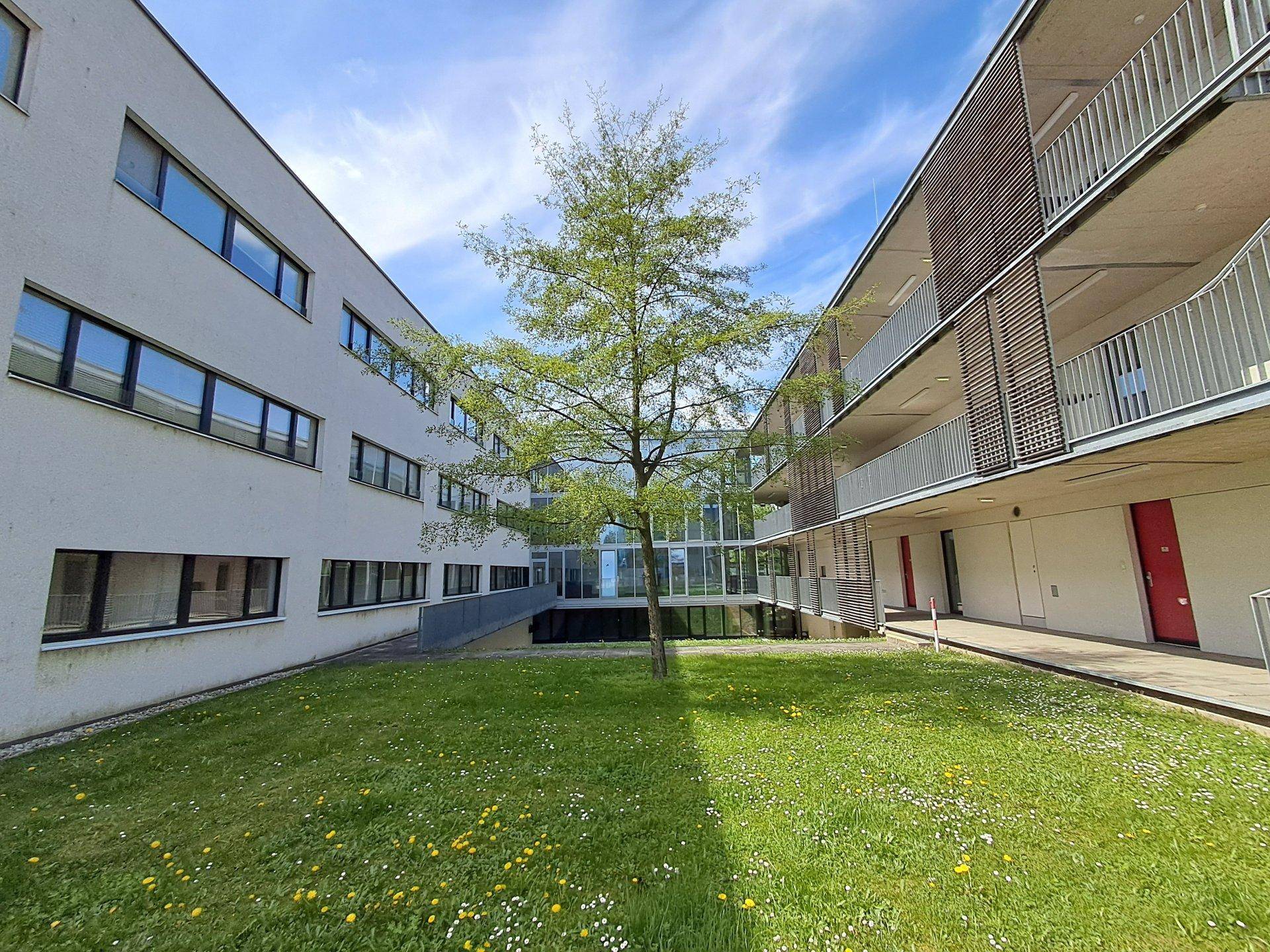 Grüner Innenhof zwischen modernen Gebäuden mit einem Baum und Außenfluren.