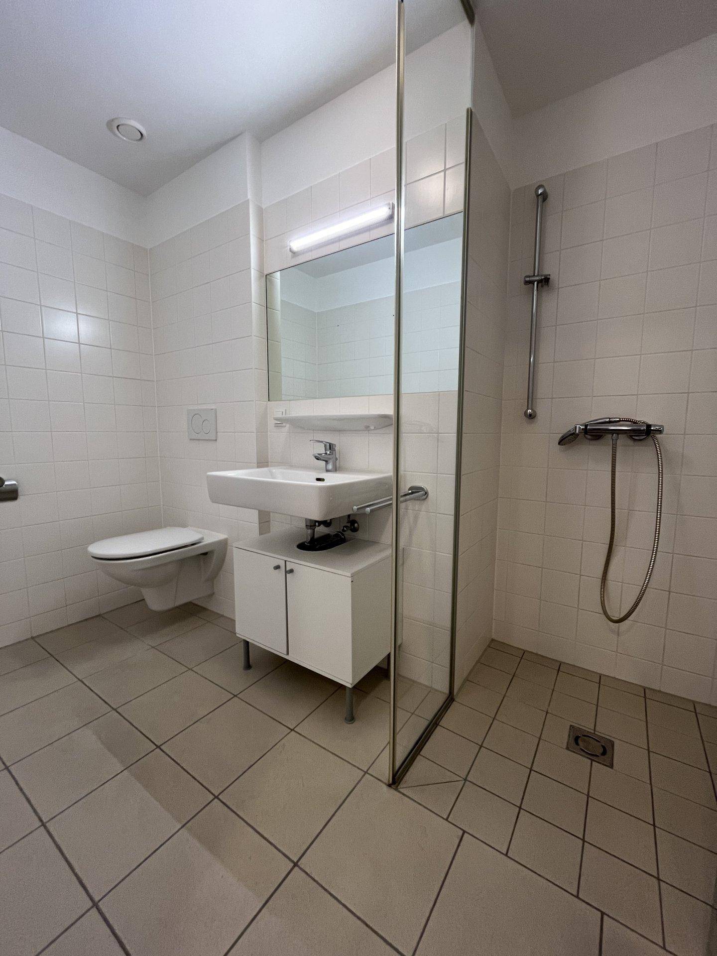 Modernes Badezimmer mit weißen Fliesen, Duschbereich und wandhängendem WC.