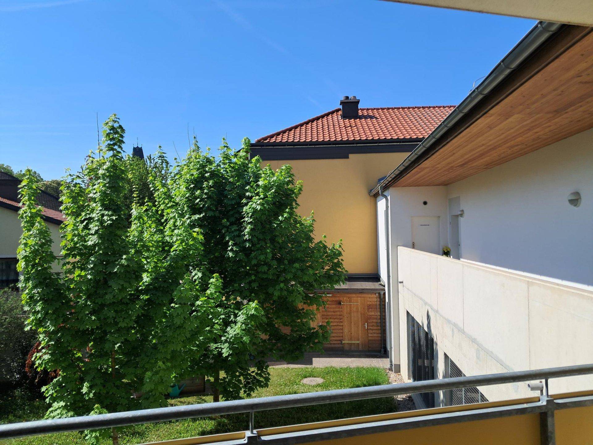 Blick vom Balkon auf einen grünen Baum und die Dächer der Nachbargebäude unter blauem Himmel.