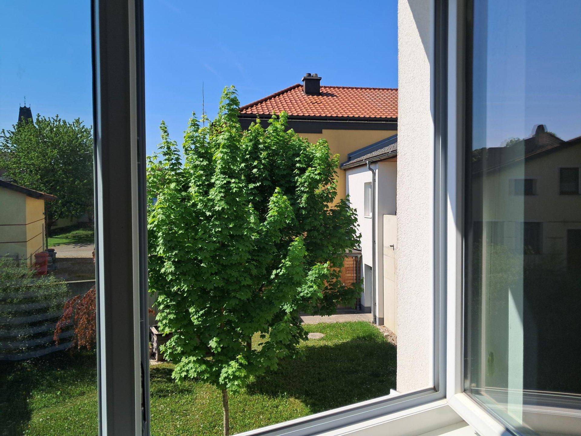 Blick aus dem Fenster auf einen grünen Baum und die umliegenden Gebäude mit Ziegeldach.