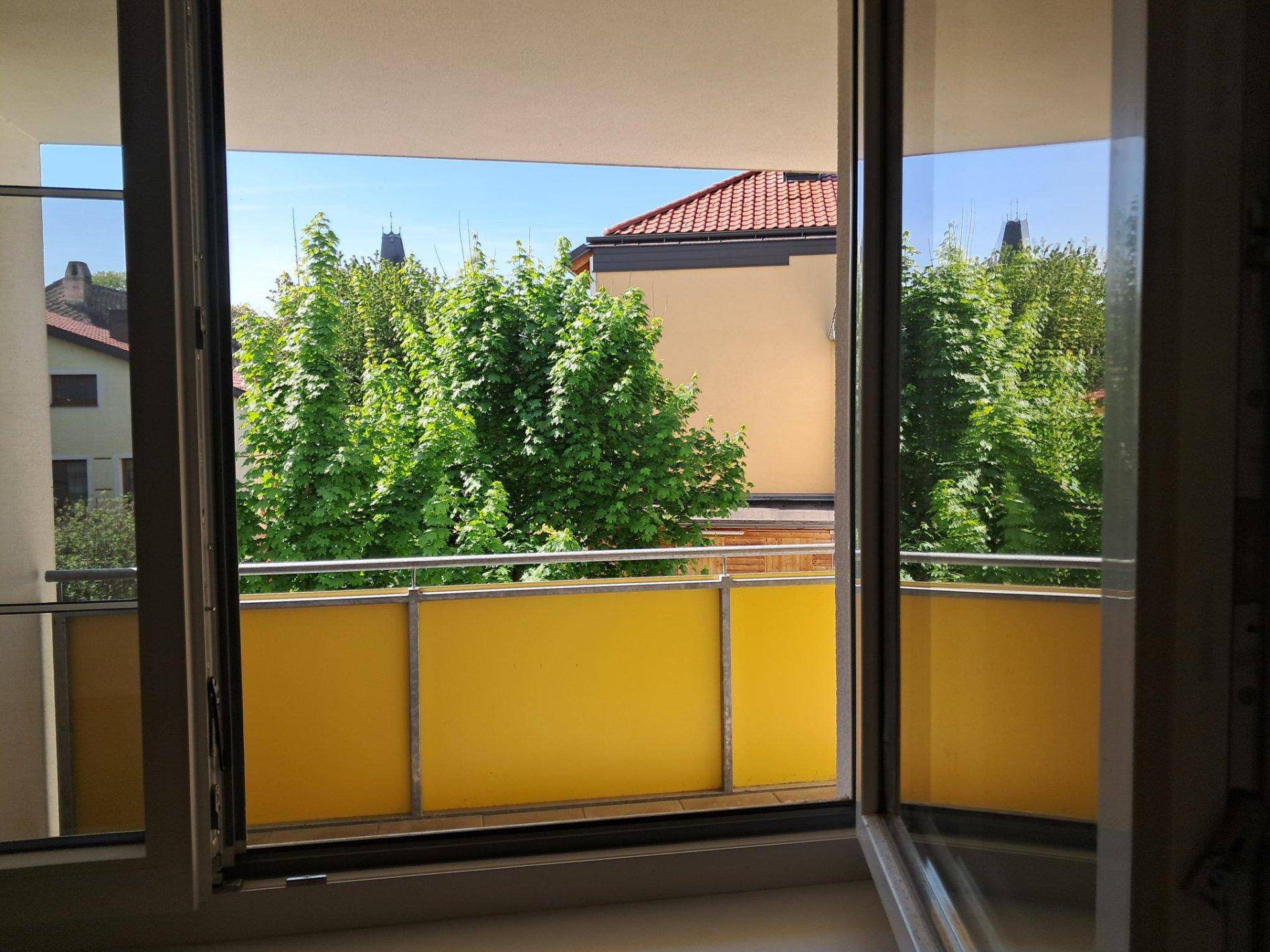 Blick vom Balkon auf die grüne Umgebung und die Dächer der benachbarten Häuser unter blauem Himmel.