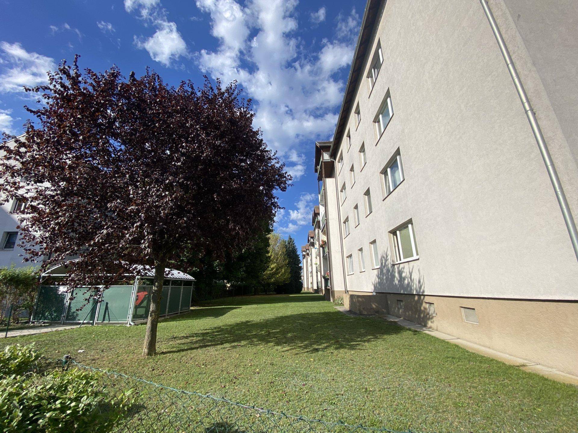 Weitläufige Rasenfläche mit einem Baum neben der Gebäudeseite unter blauem Himmel.