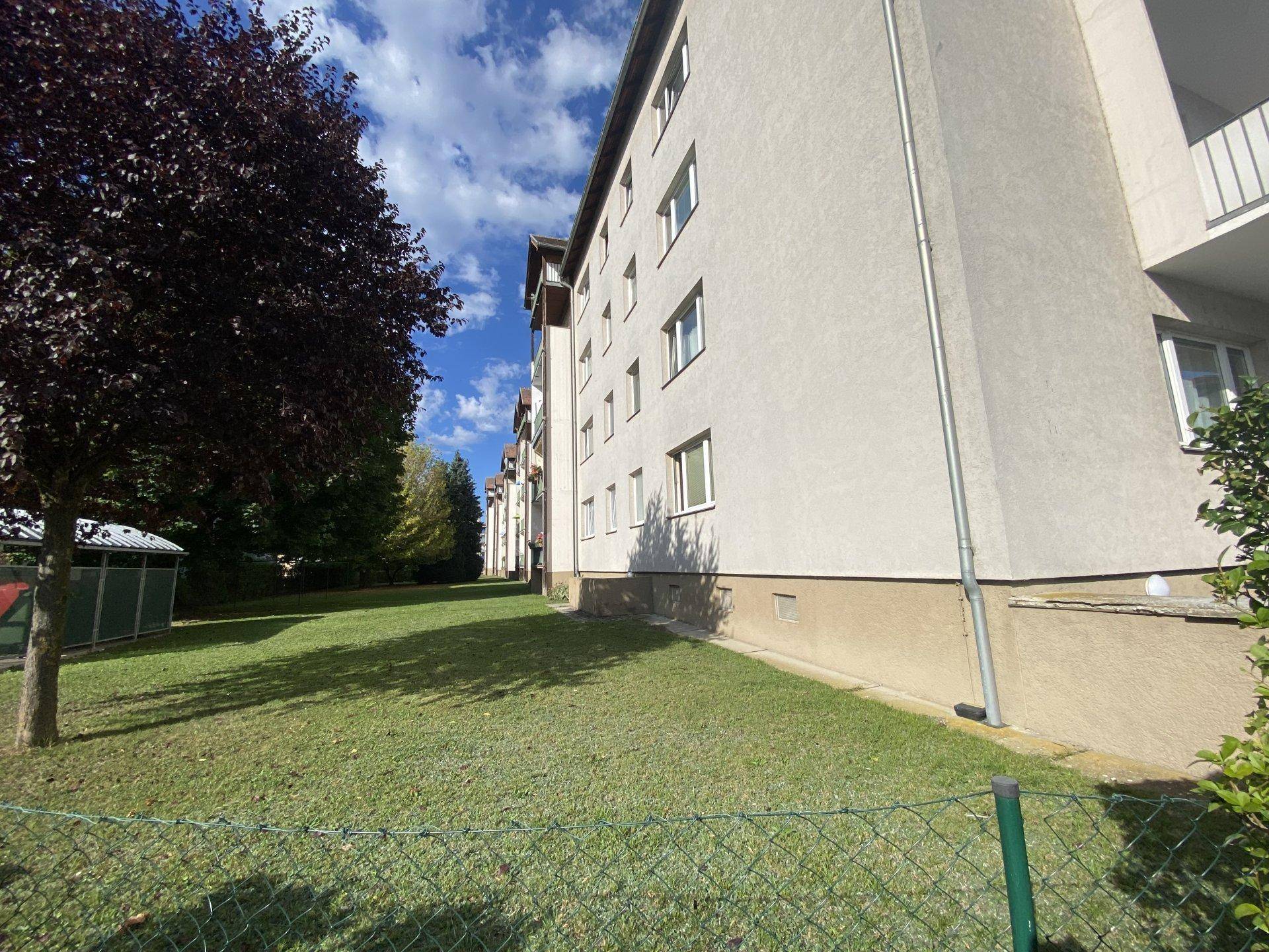 Gepflegte Rasenfläche neben dem Wohngebäude, umzäunt und von Bäumen gesäumt.