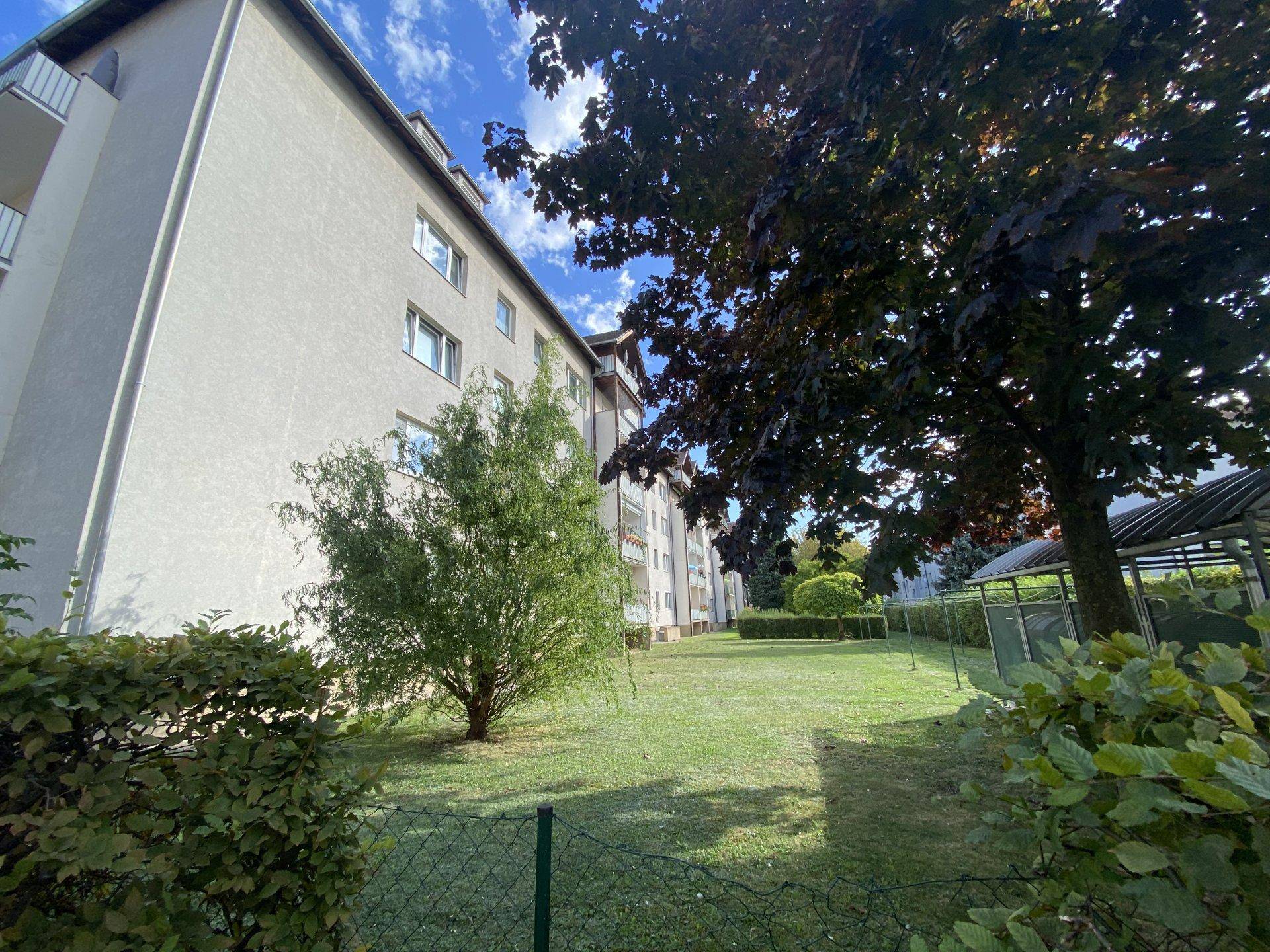 Grüne Rasenfläche mit Bäumen und Sträuchern neben der Wohnhausfassade an einem sonnigen Tag.