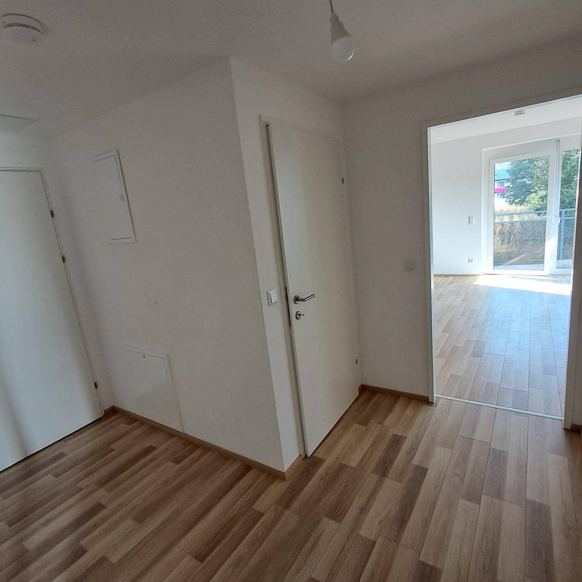 Eingangsbereich mit Laminatboden und Blick in einen hellen Raum mit Balkonzugang.