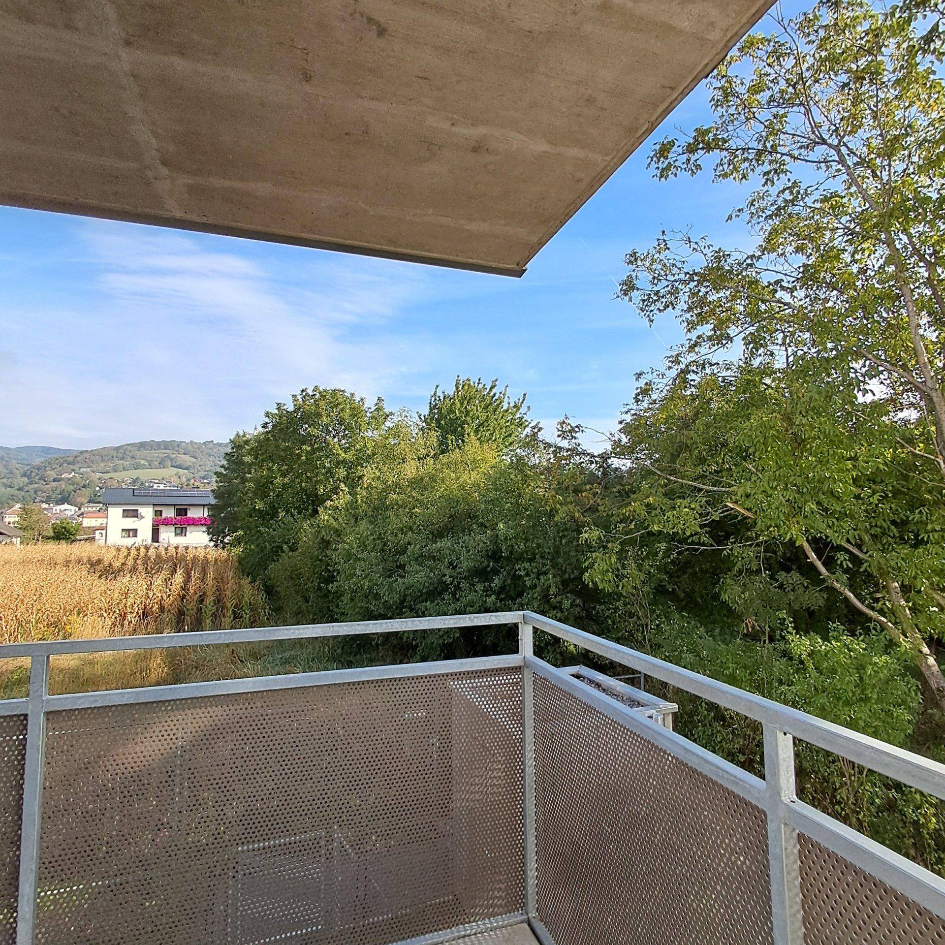 Balkon mit Blick ins Grüne und auf die umliegende Wohnbebauung.