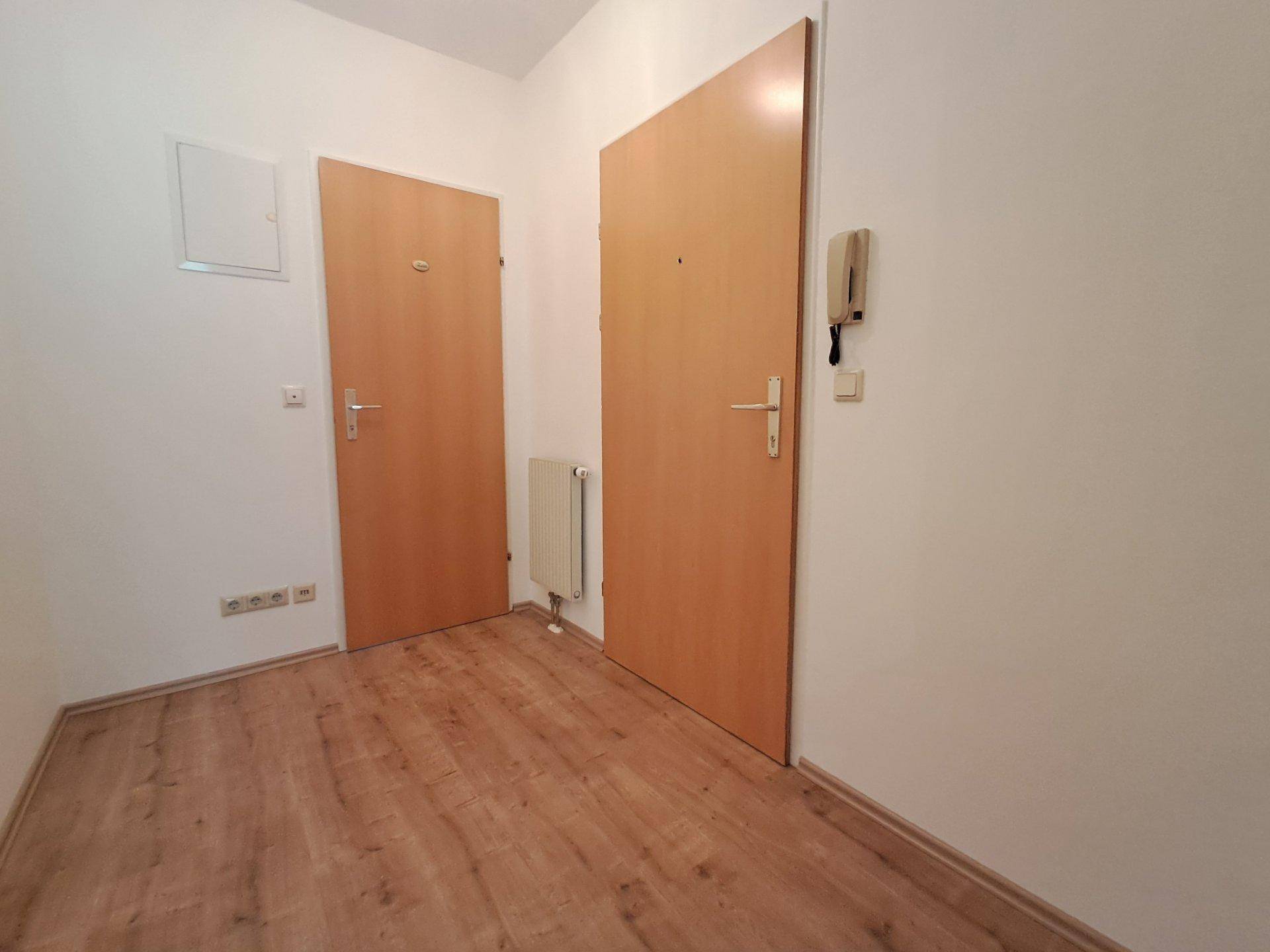 Eingangsbereich mit Laminatboden, zwei Holztüren und einer Gegensprechanlage an der Wand.