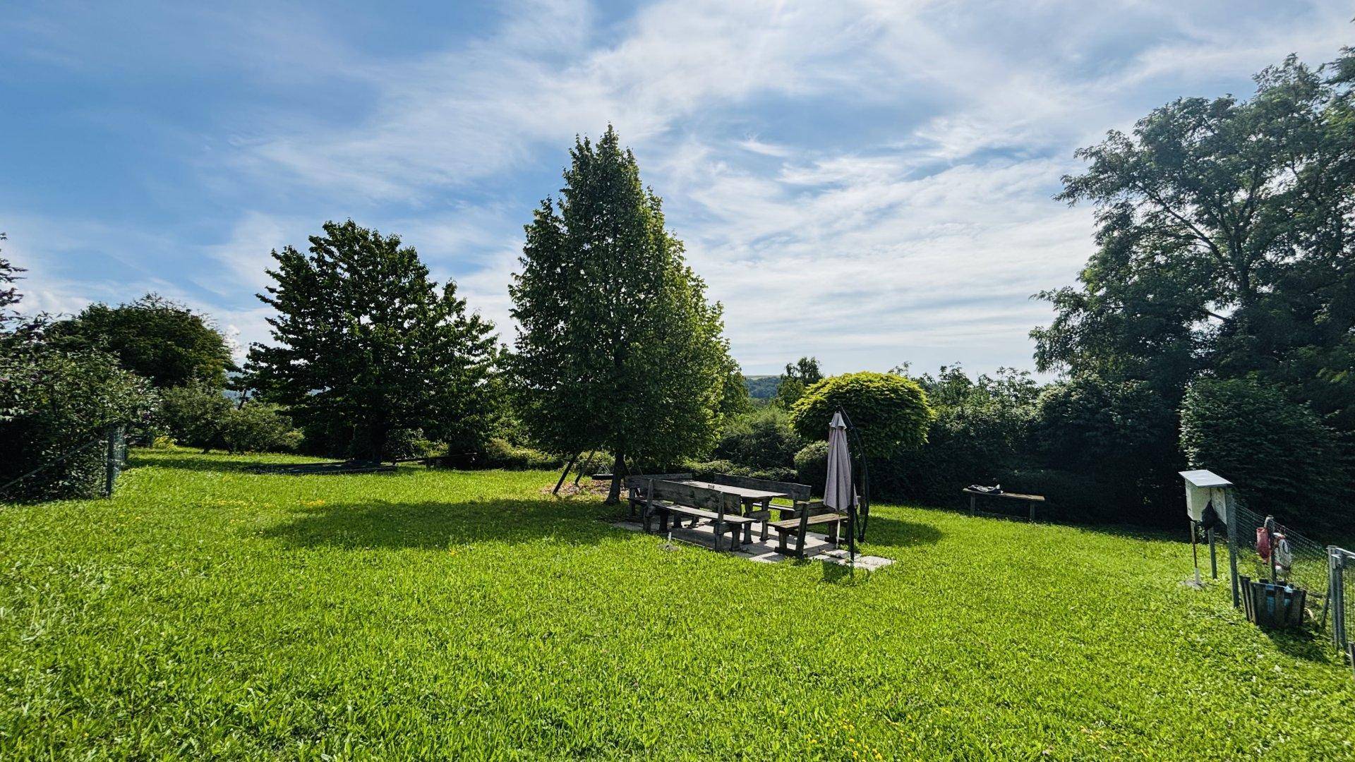 Weitläufige grüne Rasenfläche mit Sitzgelegenheiten im Freien und altem Baumbestand unter blauem Himmel.