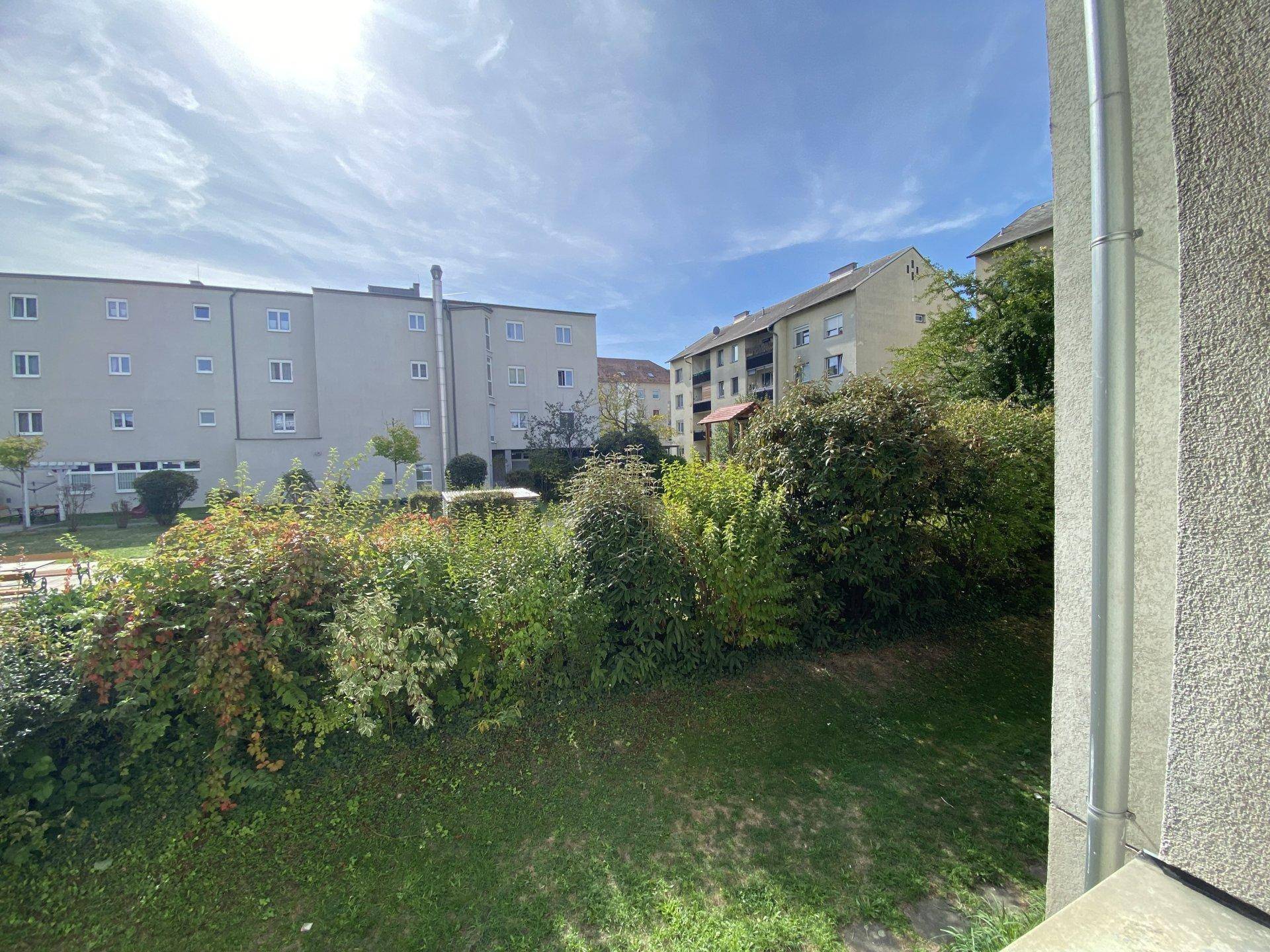 Blick vom Balkon auf einen grünen Innenhof mit Bäumen und umliegenden Wohngebäuden.