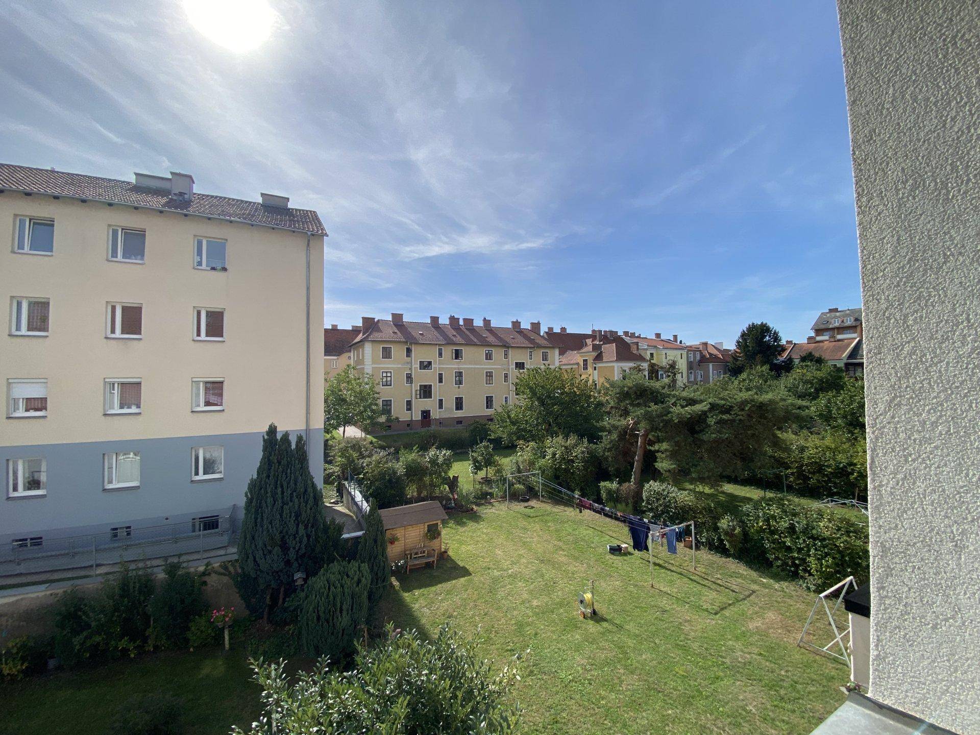 Blick auf einen grünen Innenhof mit Rasenfläche, Bäumen und Wäscheleinen zwischen Wohngebäuden.