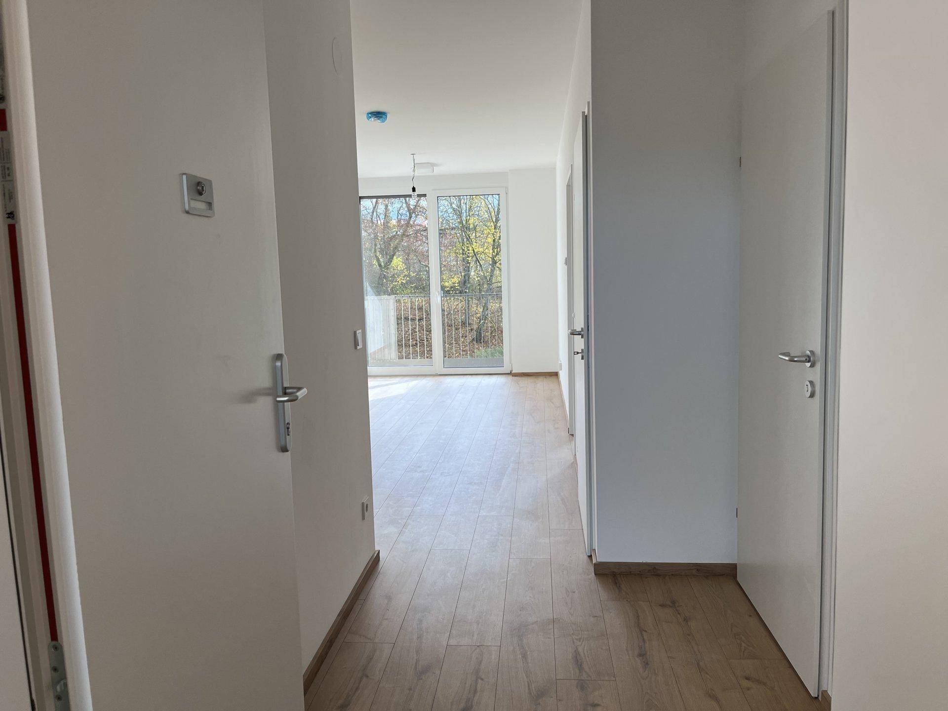 Heller Flur mit Holzboden, der zu einem Wohnbereich mit Balkonzugang führt.