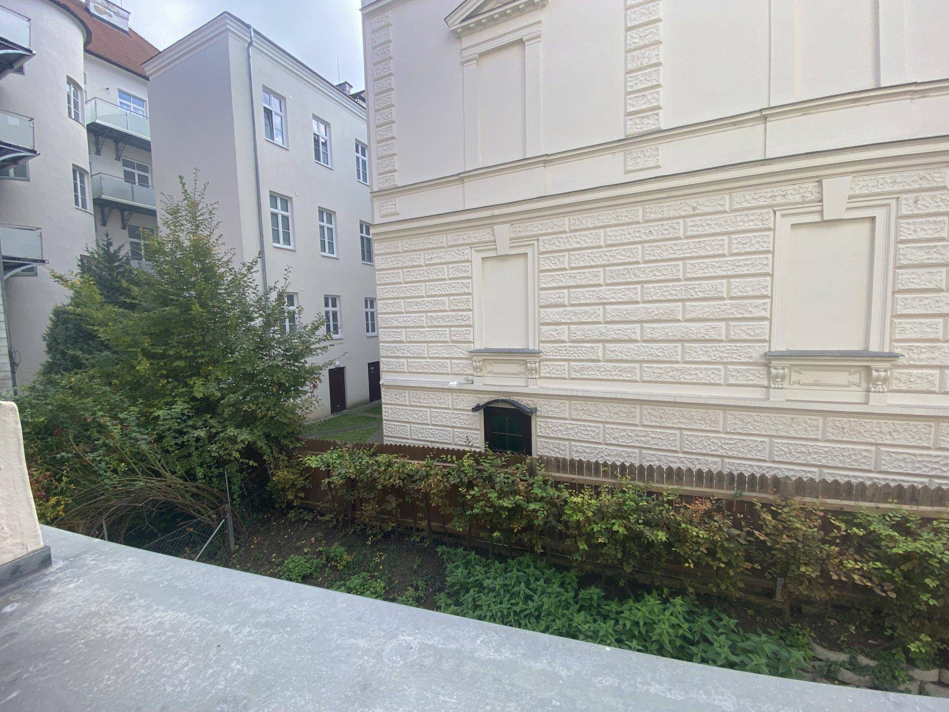 Blick aus dem Fenster auf einen kleinen Grünbereich und die umliegenden Gebäude.