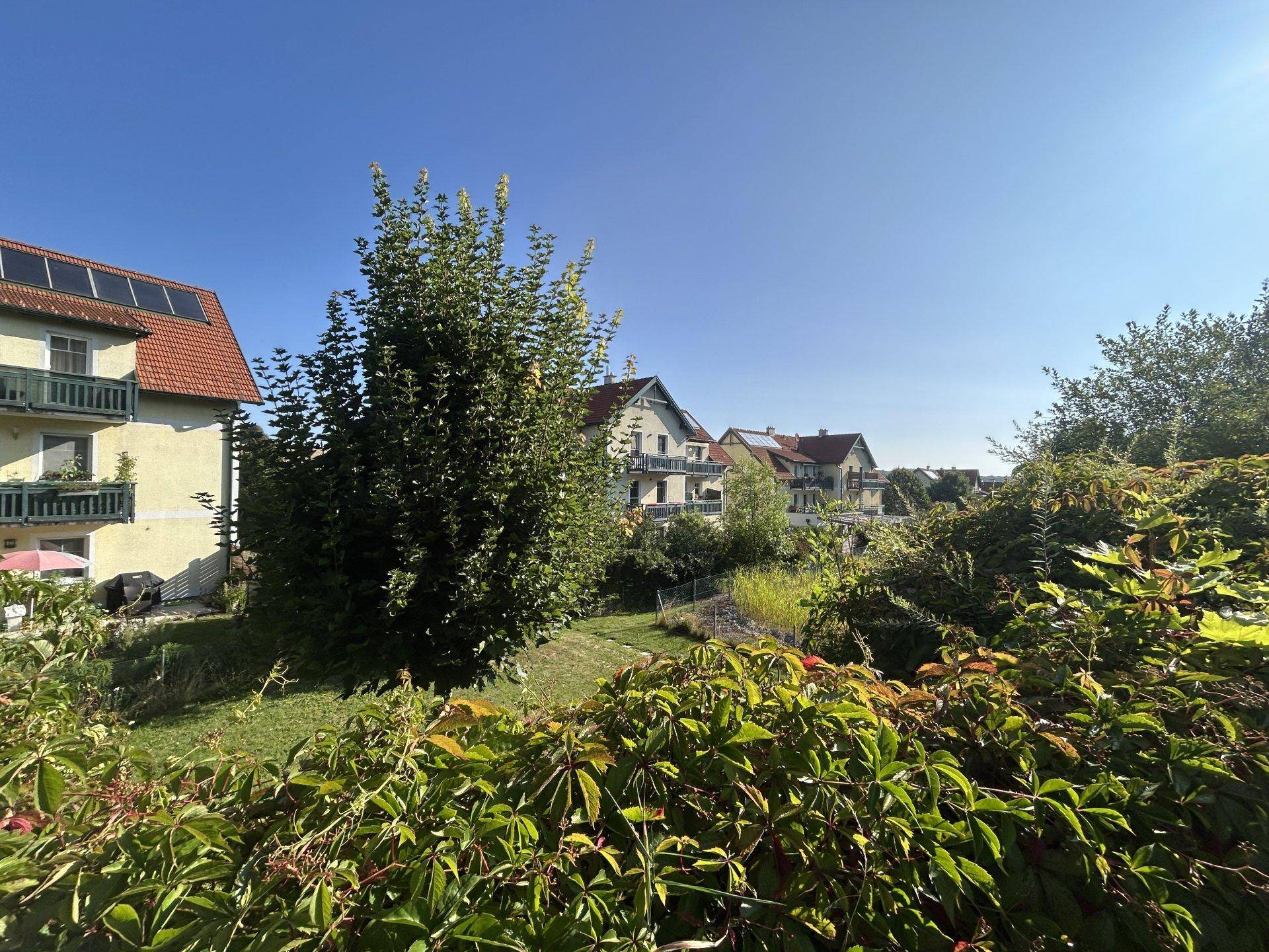 Blick über einen grünen Garten auf weitere Wohnhäuser in einer sonnigen Umgebung.