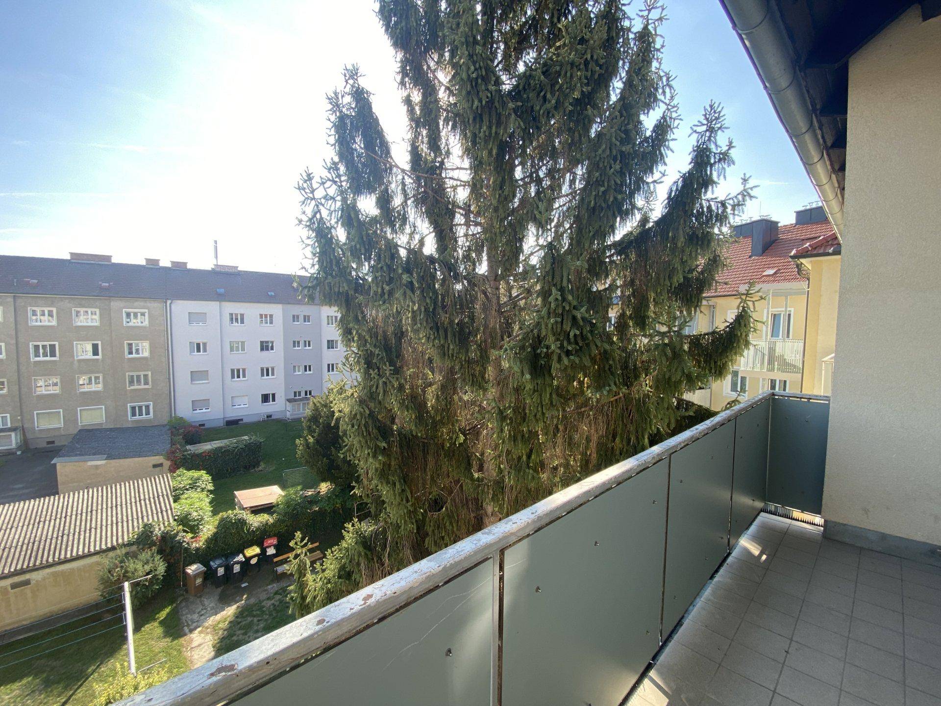 Sonniger Balkon mit Blick auf einen großen Nadelbaum und umliegende Wohngebäude an einem klaren Tag.