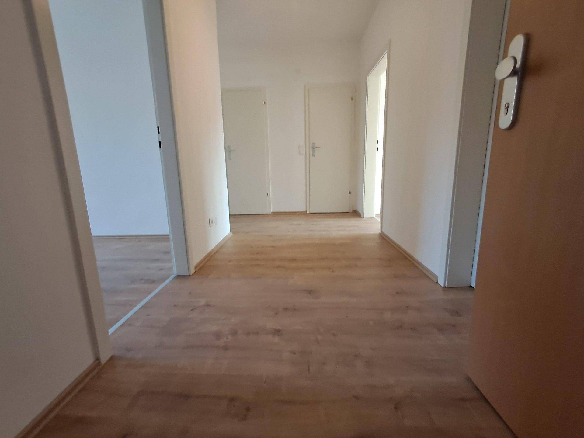 Heller Flur mit Laminatboden und mehreren Türen zu angrenzenden Räumen.