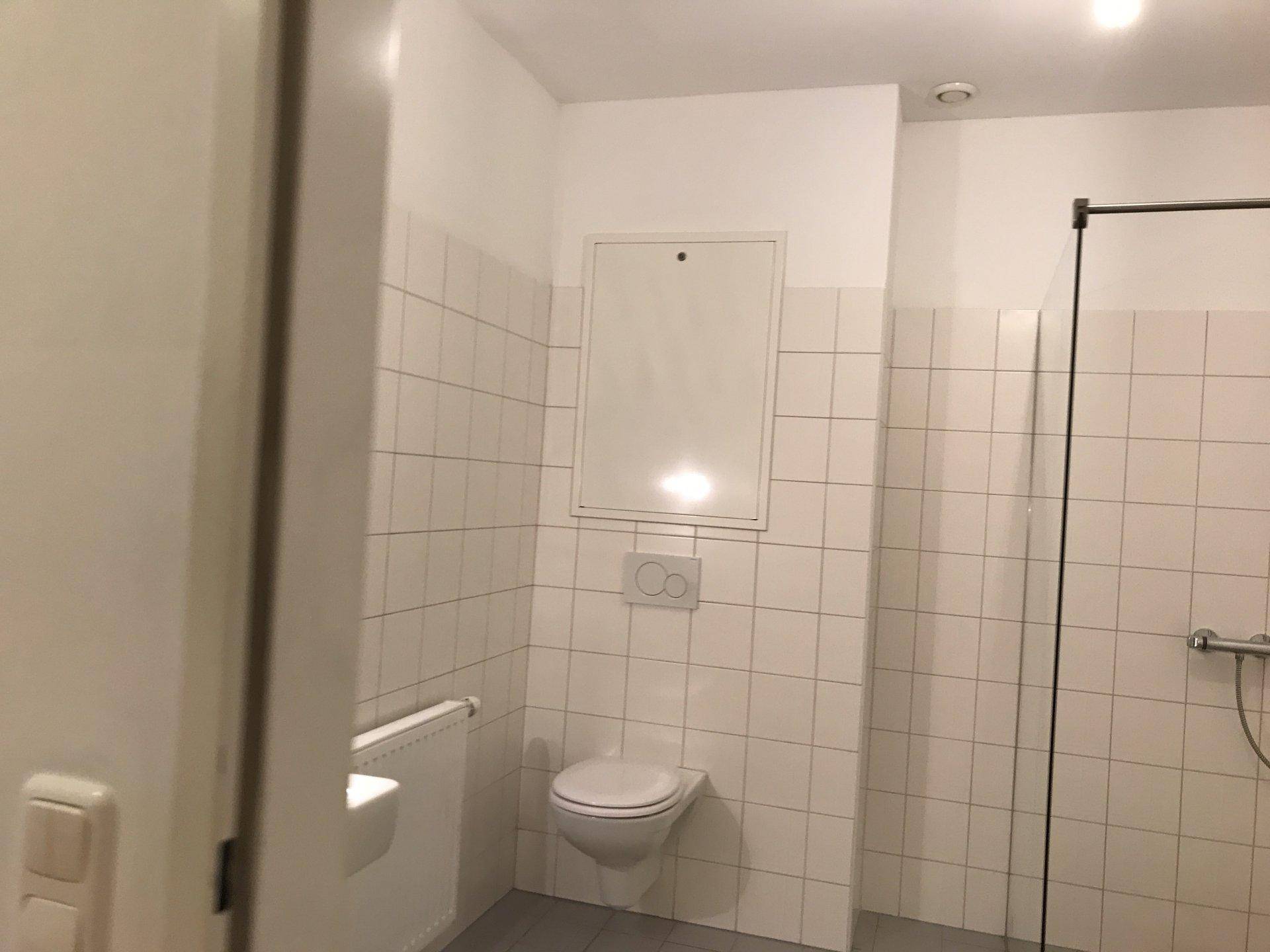 Modernes Badezimmer mit weißen Fliesen, wandhängendem WC und einer ebenerdigen Dusche.