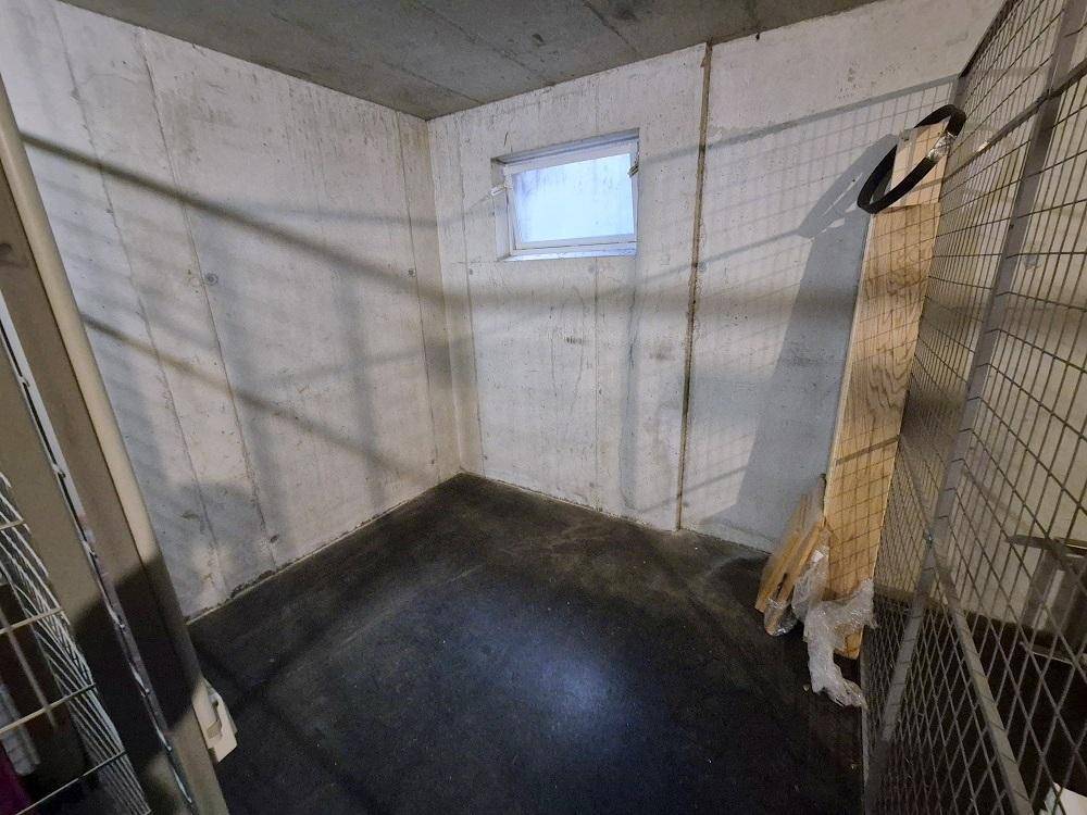 Kellerabteil mit Betonwänden und kleinem Fenster, ideal als Abstellraum.