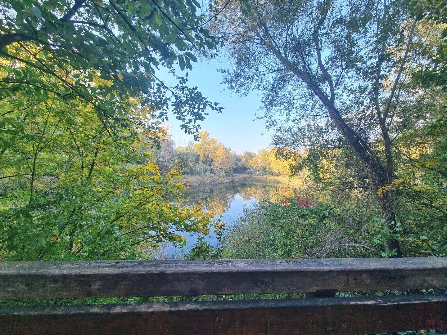 Lage - Butterteich im Laaer Wald