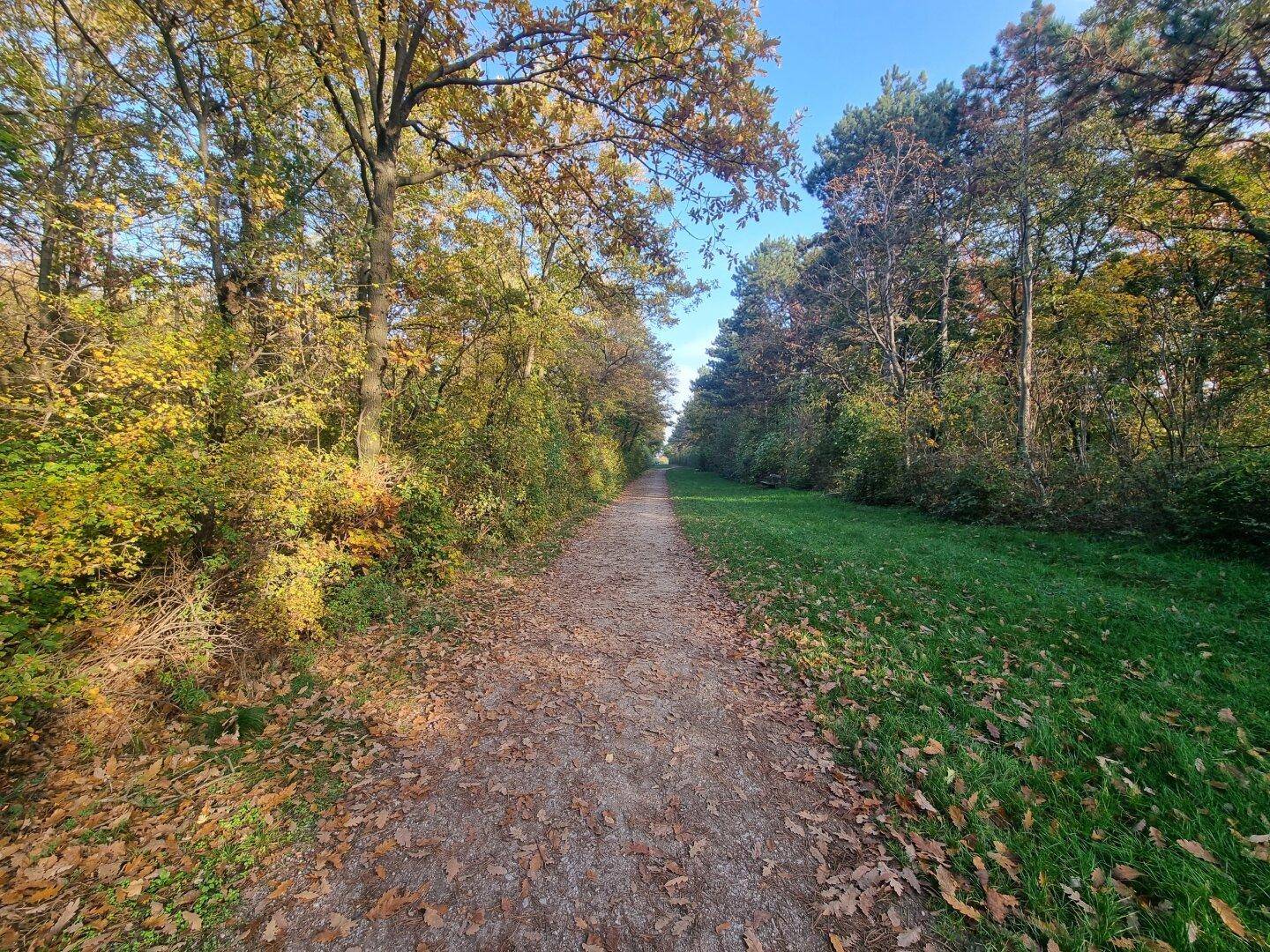 Lage - Laaer Wald