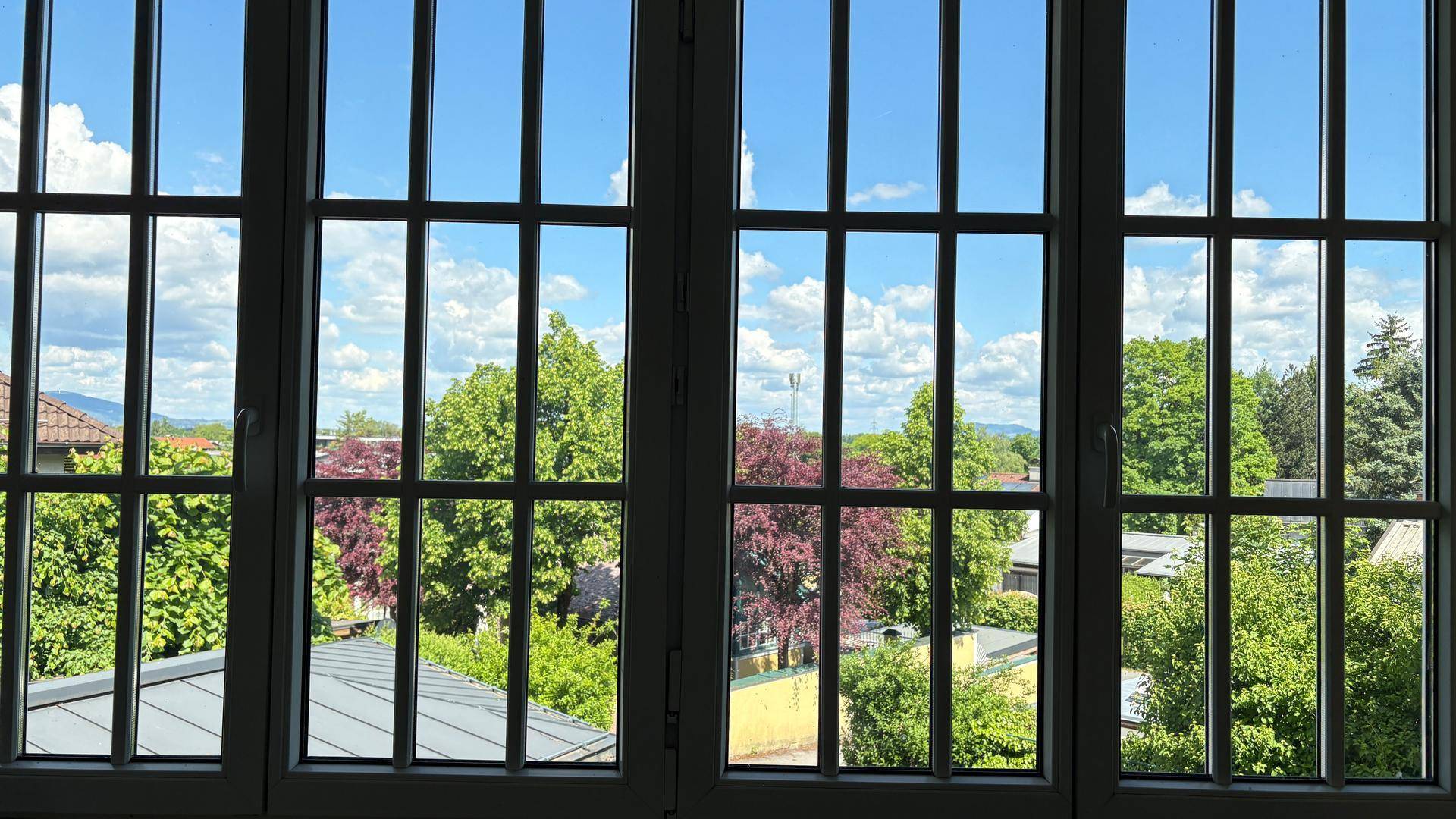 Fenster mit Sprossen und weitem Blick auf grüne Bäume und die umliegende Bebauung.