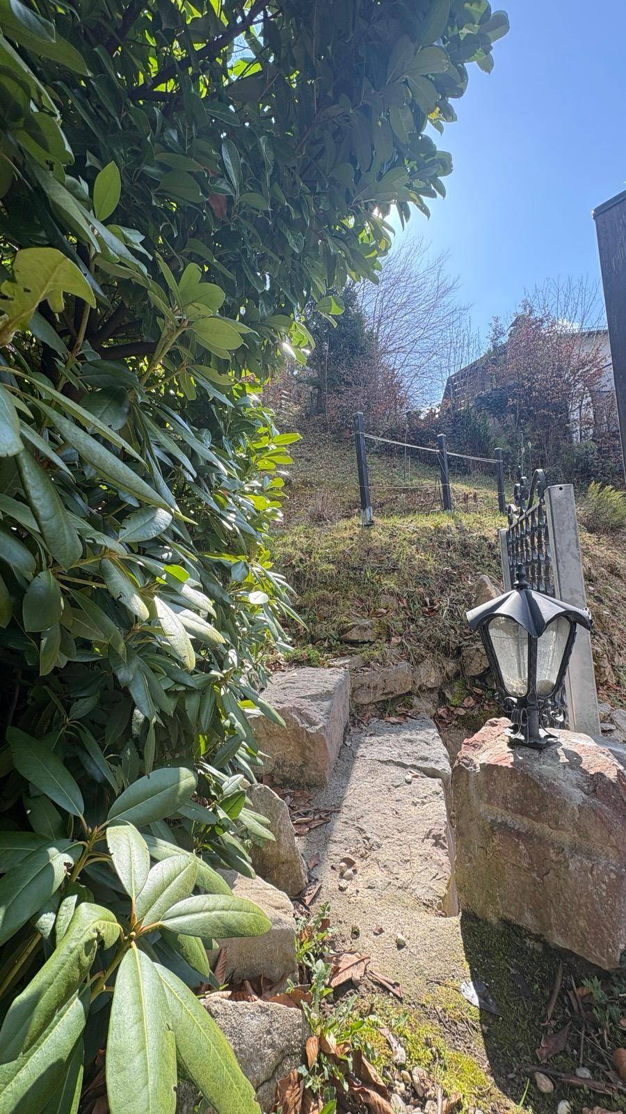 Steinstufen führen durch den Garten mit üppiger Bepflanzung und Laterne.