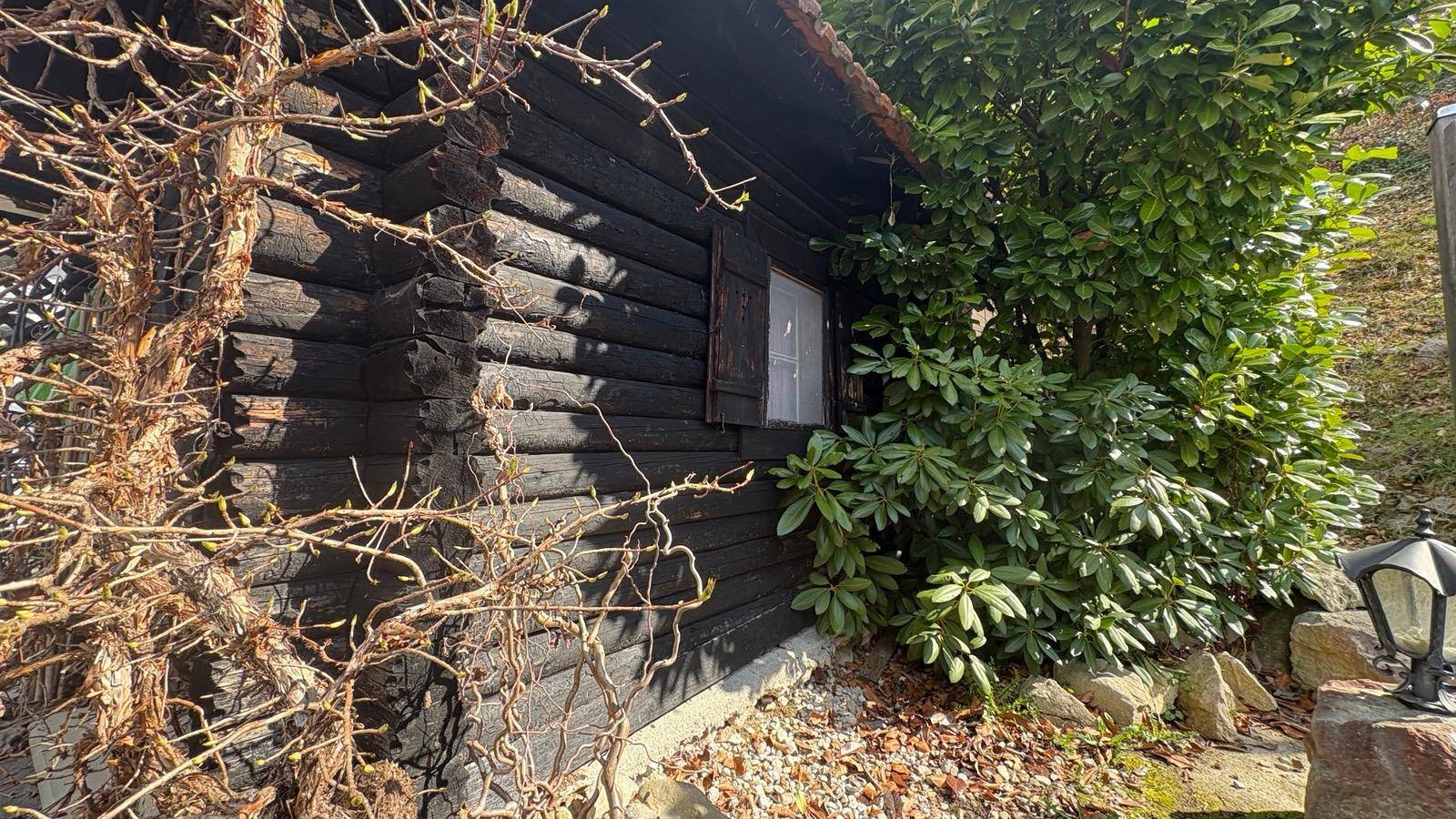Detailansicht eines rustikalen Holzschuppens im Gartenbereich.