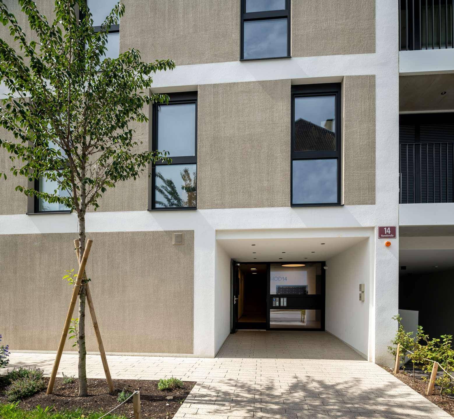 Eingangsbereich eines modernen Gebäudes mit beiger Fassade, Glasportal und jungem Baum.