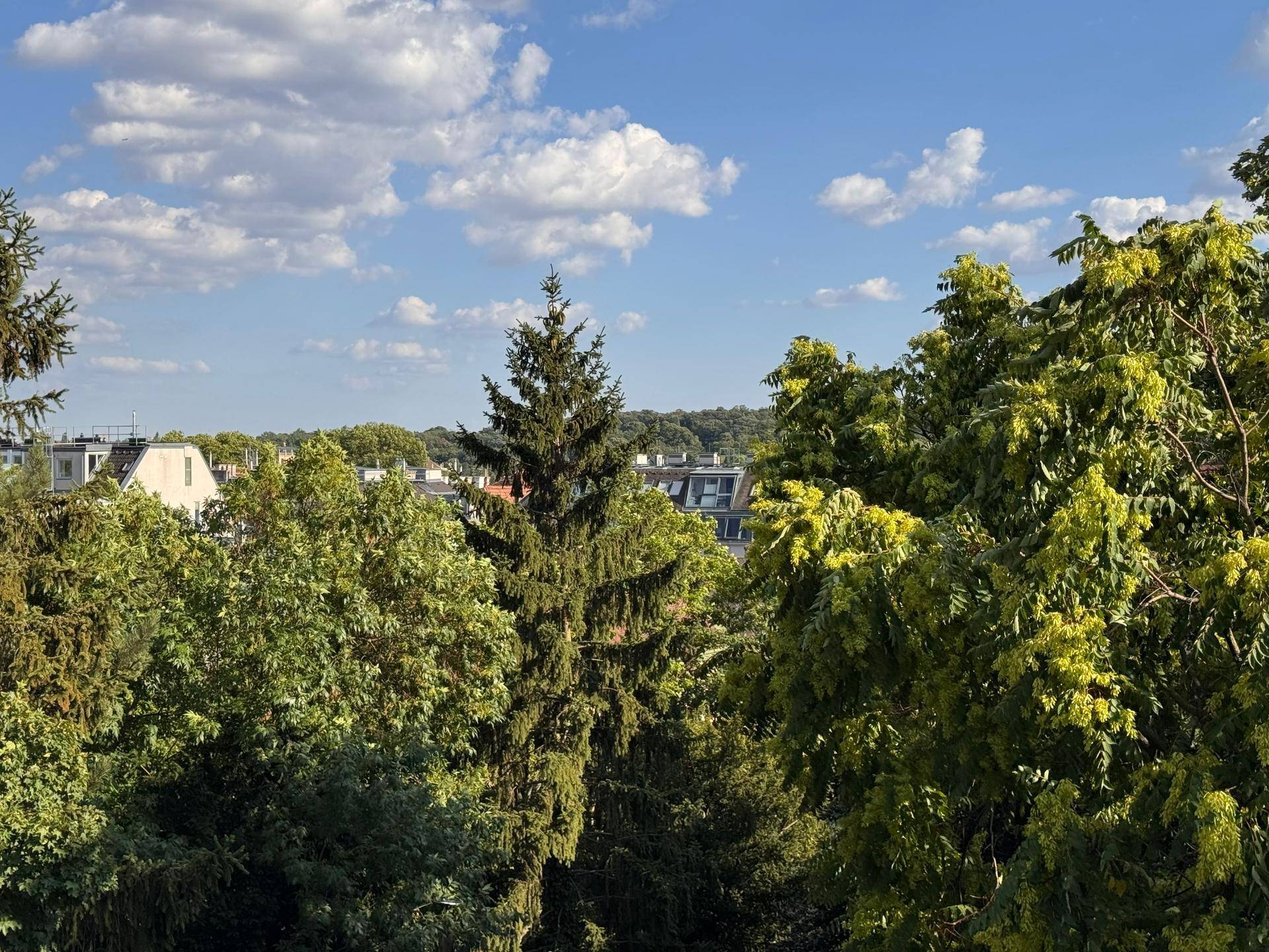 Blick ins Grüne mit vielen Bäumen und einigen Gebäuden in der Ferne unter blauem Himmel.