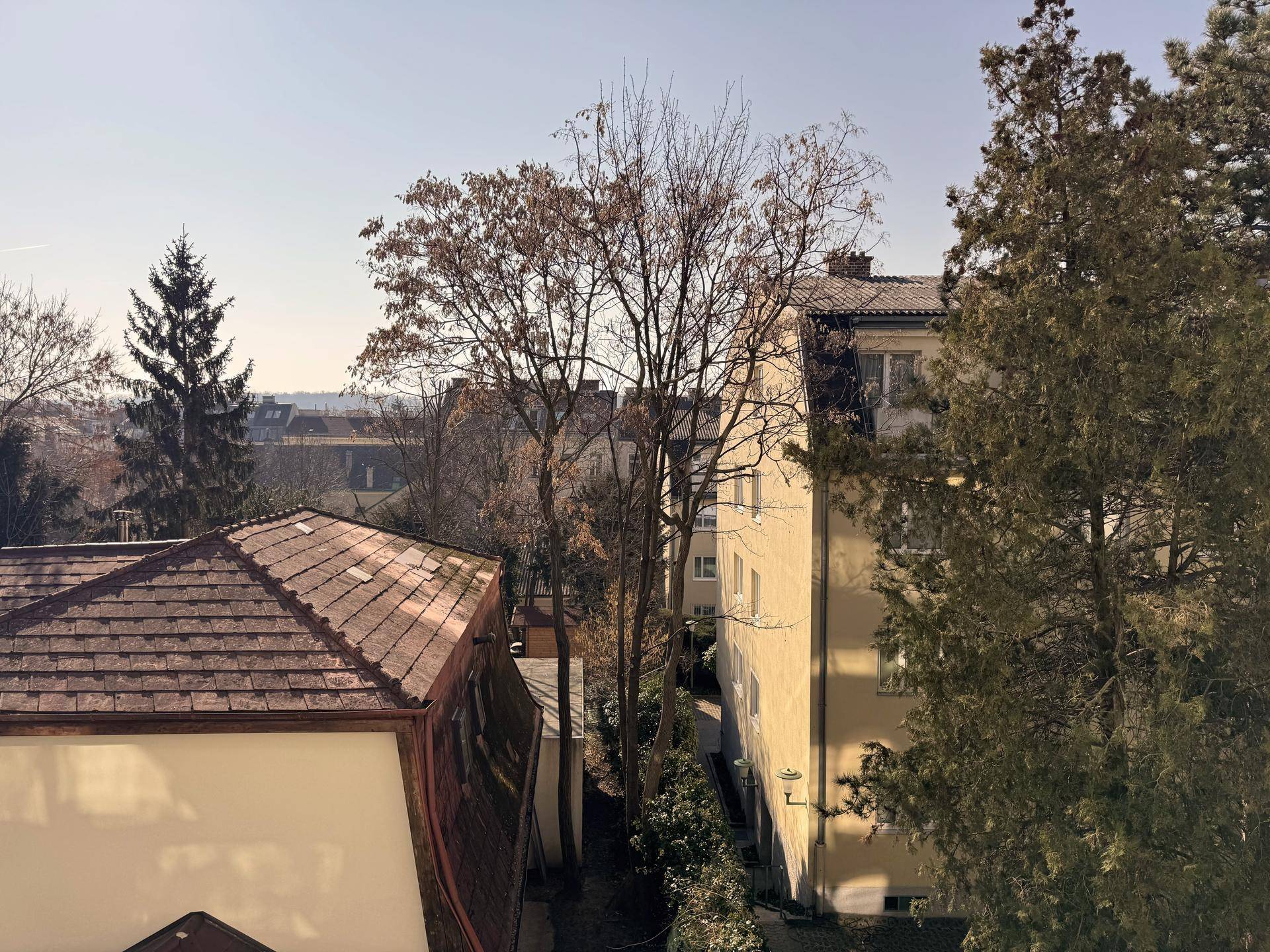 Ruhig gelegene 2 Zimmer Wohnung nahe Schönbrunn - Ansicht 3
