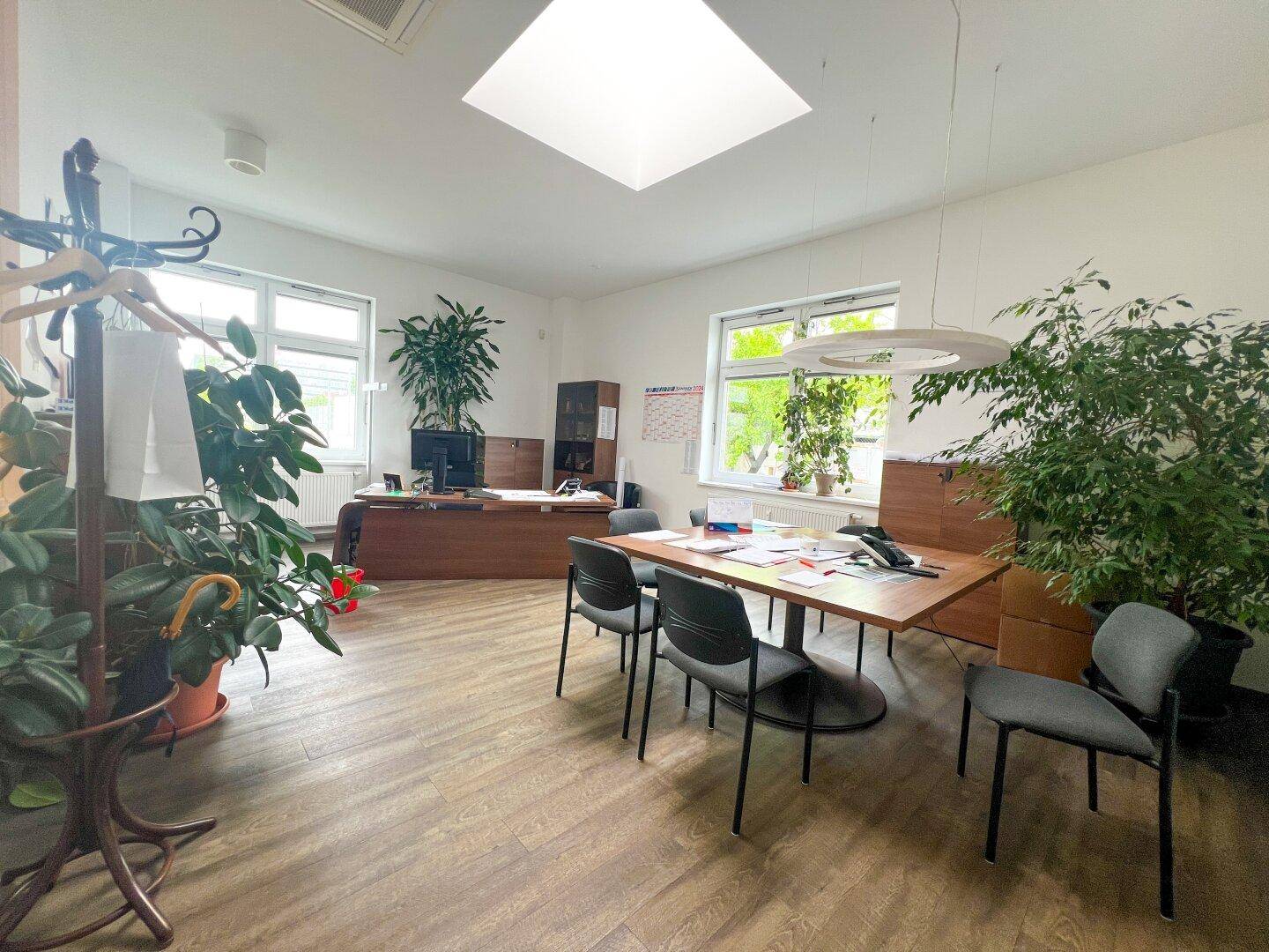 Helles und geräumiges Büro mit Holzboden, großen Fenstern und vielen Pflanzen, ausgestattet mit einem Konferenztisch.
