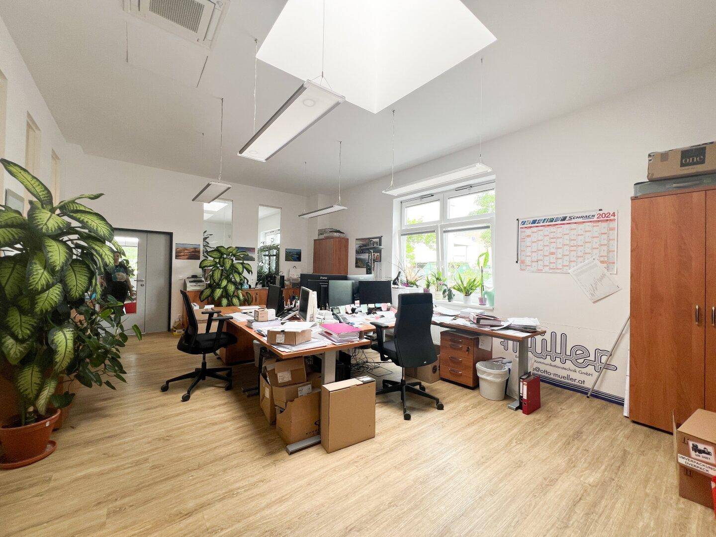 Geräumiges Büro mit mehreren Arbeitsplätzen, Holzboden und viel Tageslicht durch große Fenster und Oberlichter.