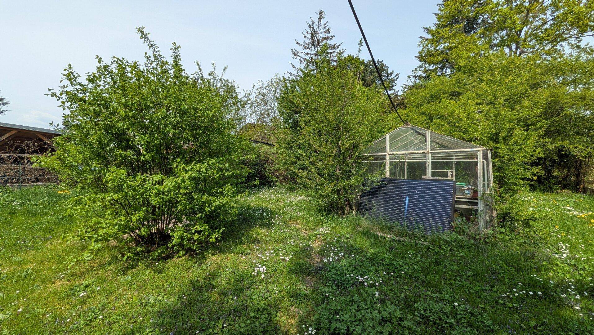 Grüner Gartenbereich mit Sträuchern und einem kleinen Gewächshaus.