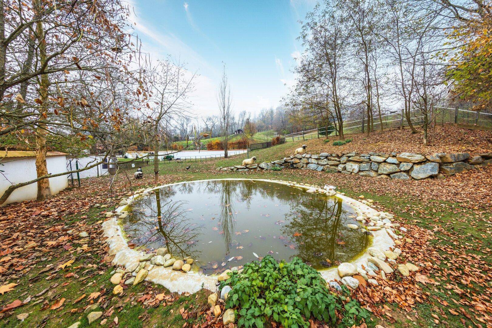 Rundlicher Teich mit Steineinfassung in einem weitläufigen Gartenbereich.