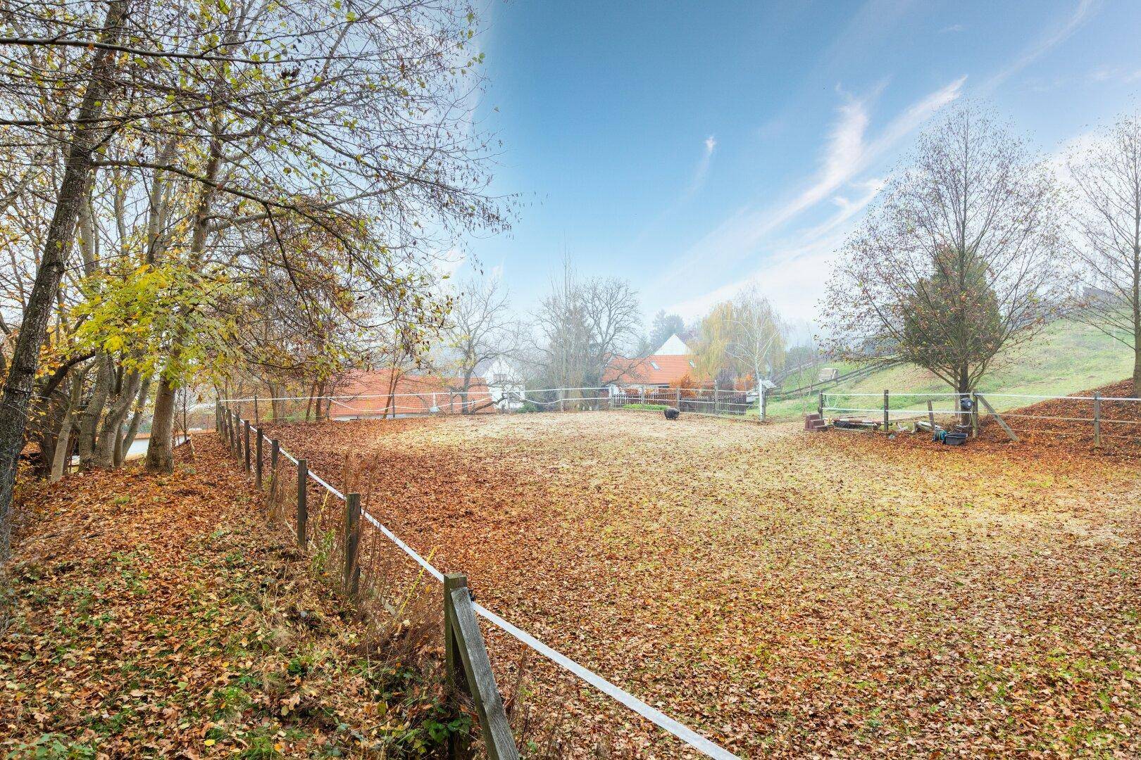 Große, von einem Zaun umgebene Wiese mit Herbstlaub und Bäumen im Hintergrund.