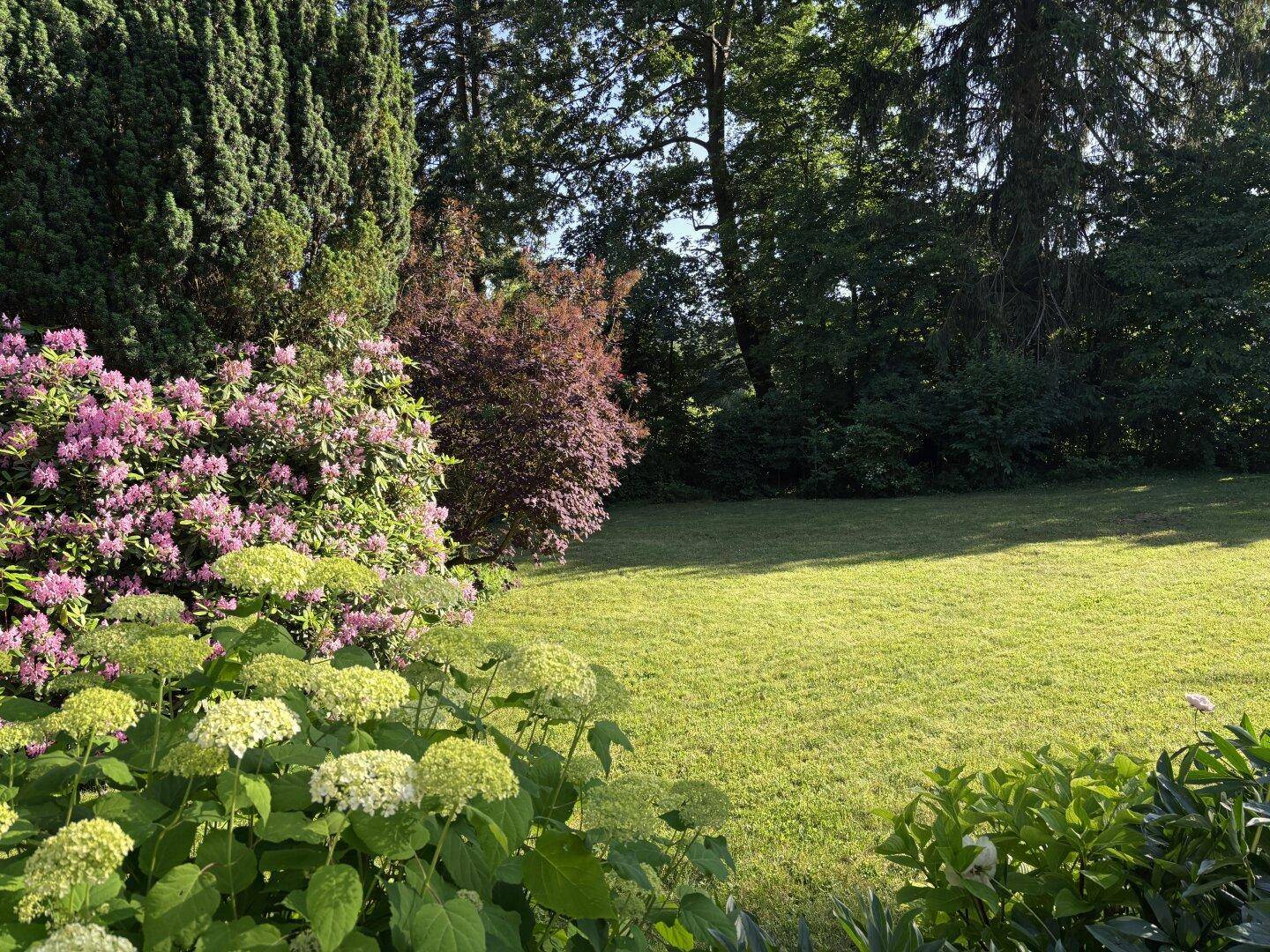 Vielfältiger Gartenbereich mit blühenden Sträuchern und einer großen Rasenfläche im Sonnenlicht.