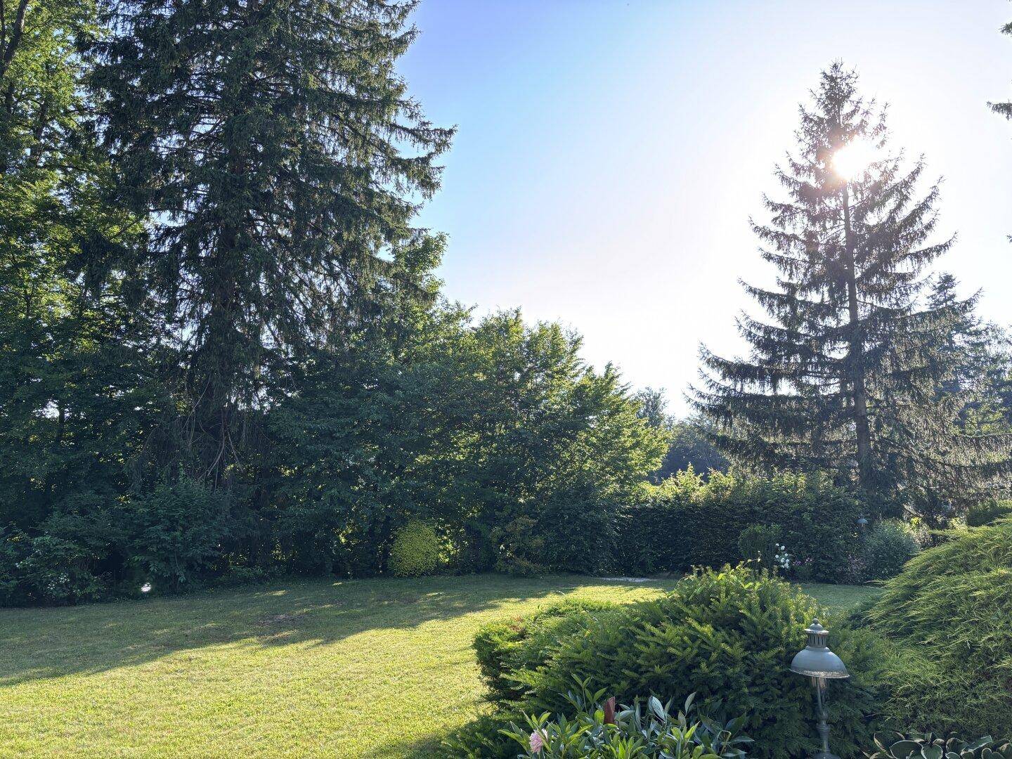 Heller Garten mit üppigem Grün und hohen Bäumen, die im Sonnenlicht glänzen.