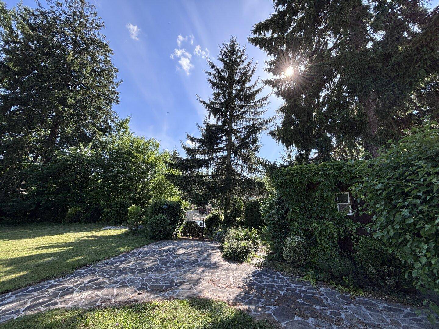 Sonniger Gartenweg aus Steinplatten, umgeben von üppigem Grün und hohen Bäumen.