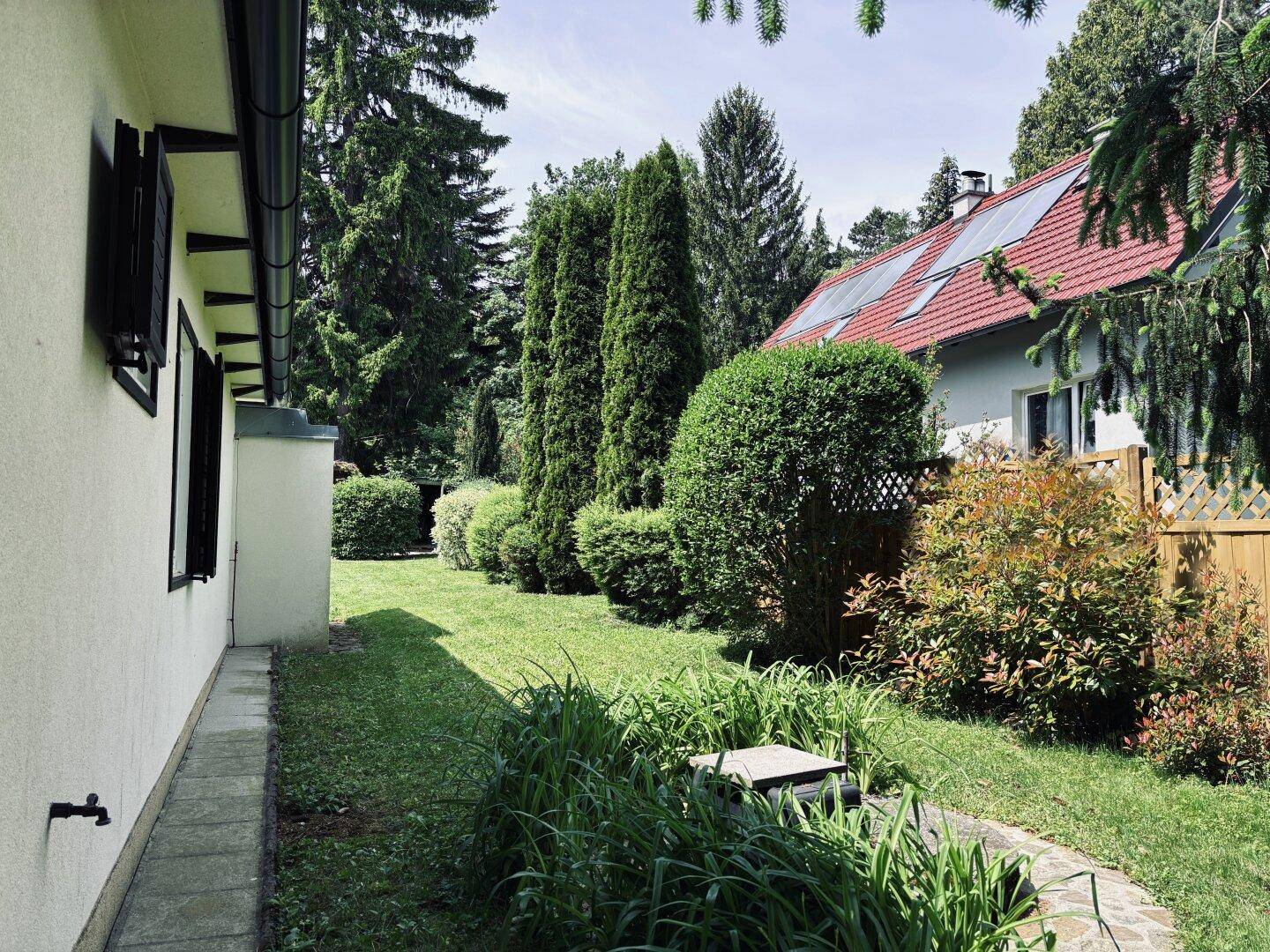 Seitenansicht des Hauses mit angrenzendem Garten, umgeben von hohen Hecken und Bäumen.