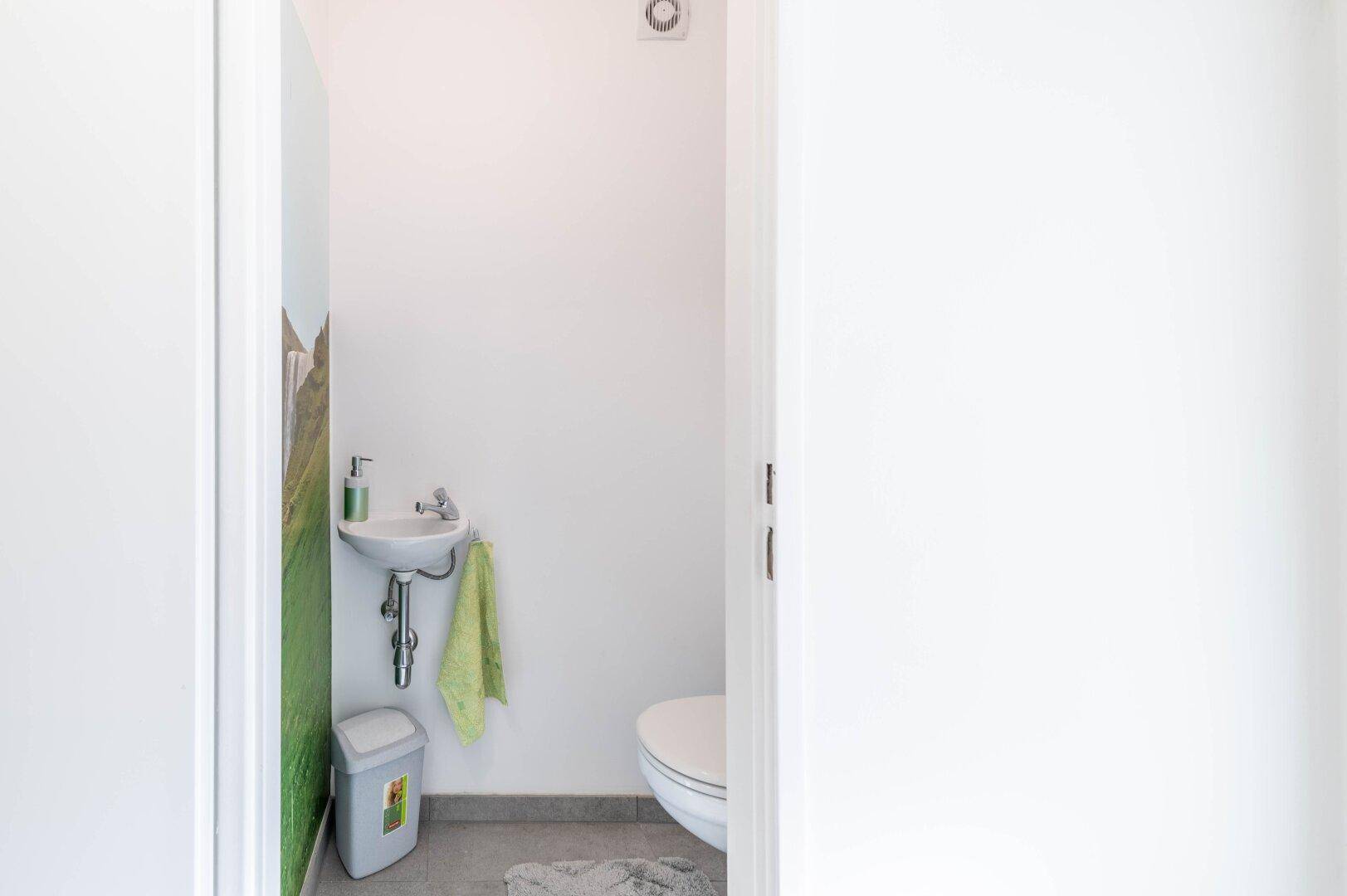 Modernes Gäste-WC mit kleinem Waschbecken und Wand-WC.