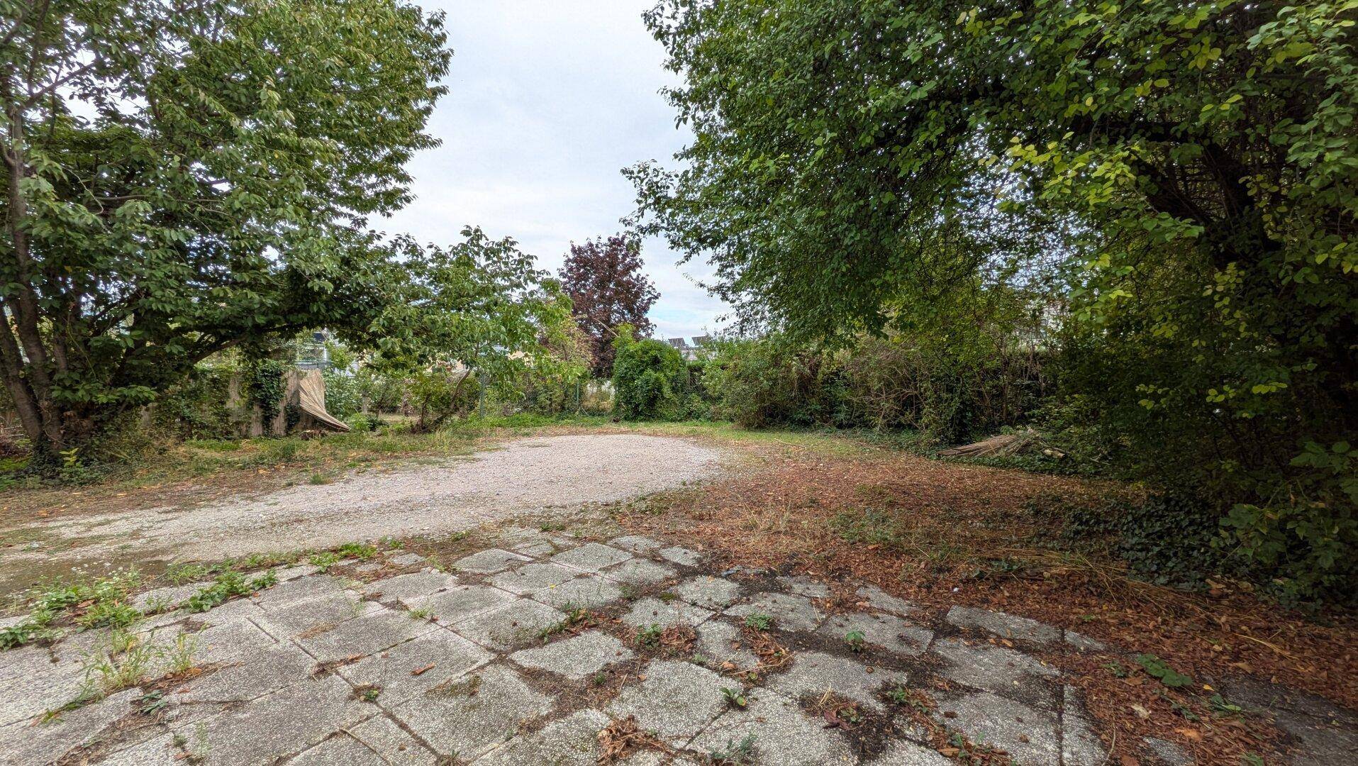 Weitläufiger Gartenbereich mit altem Baumbestand und ungenutzter Fläche, ideal für zukünftige Gestaltung.