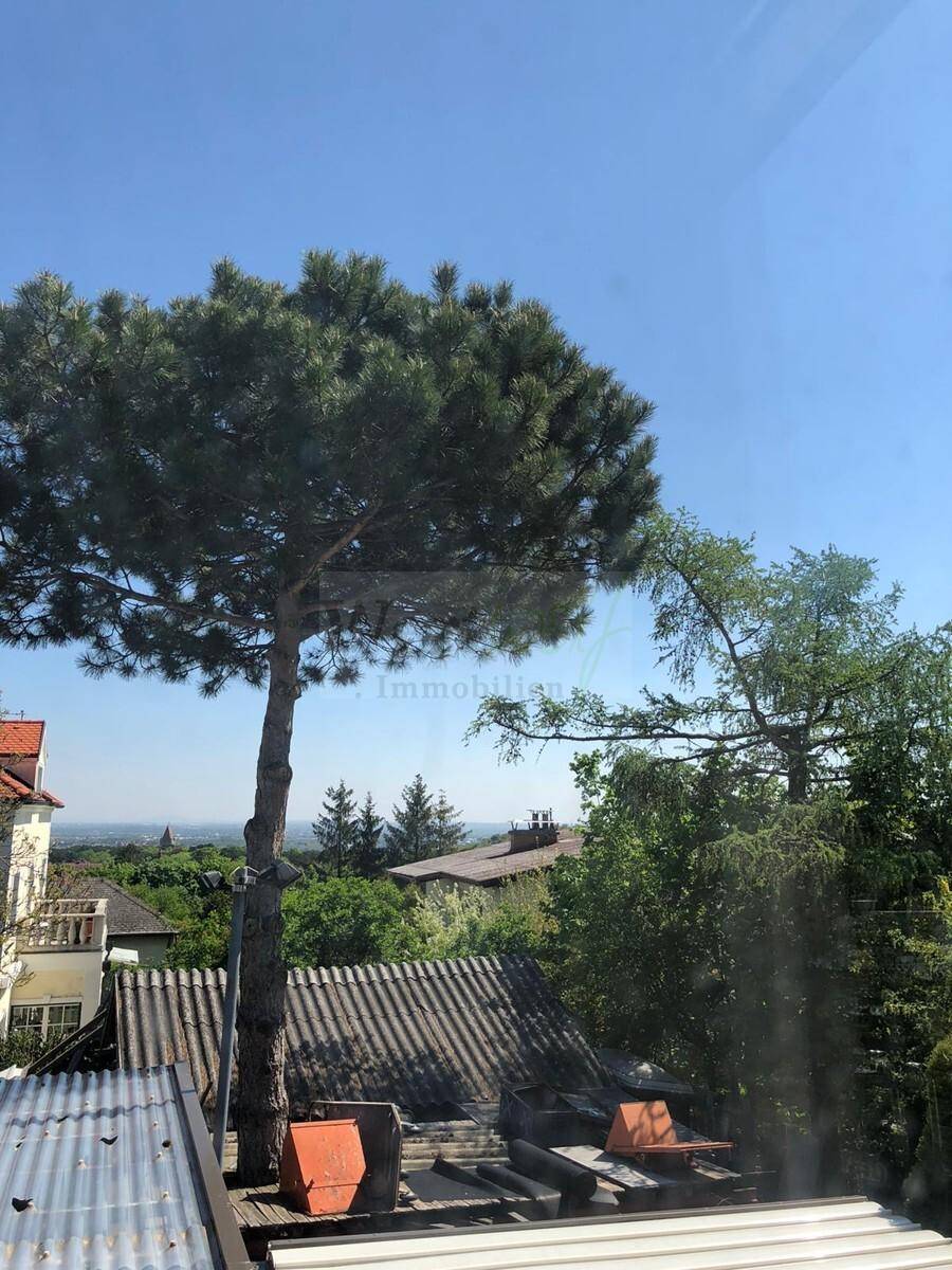 Aussicht
