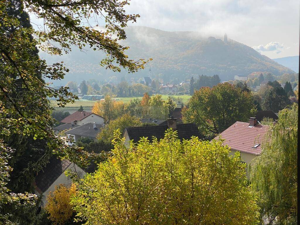 Malerischer Ausblick auf die grüne Landschaft mit Häusern und einem bewaldeten Berg im Hintergrund.