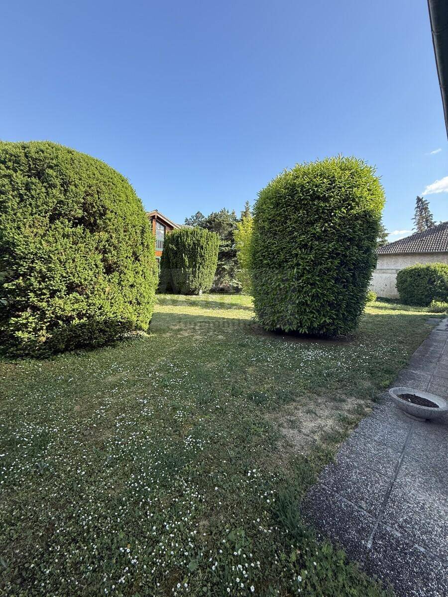 Gepflegter Garten mit Rasenfläche, dichten Hecken und einem befestigten Weg unter klarem Himmel.