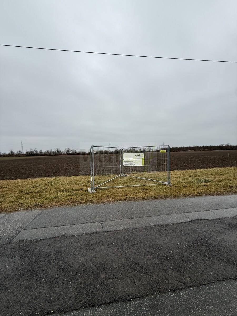 Undeveloped land with a metal fence and a road in the foreground under an overcast sky.