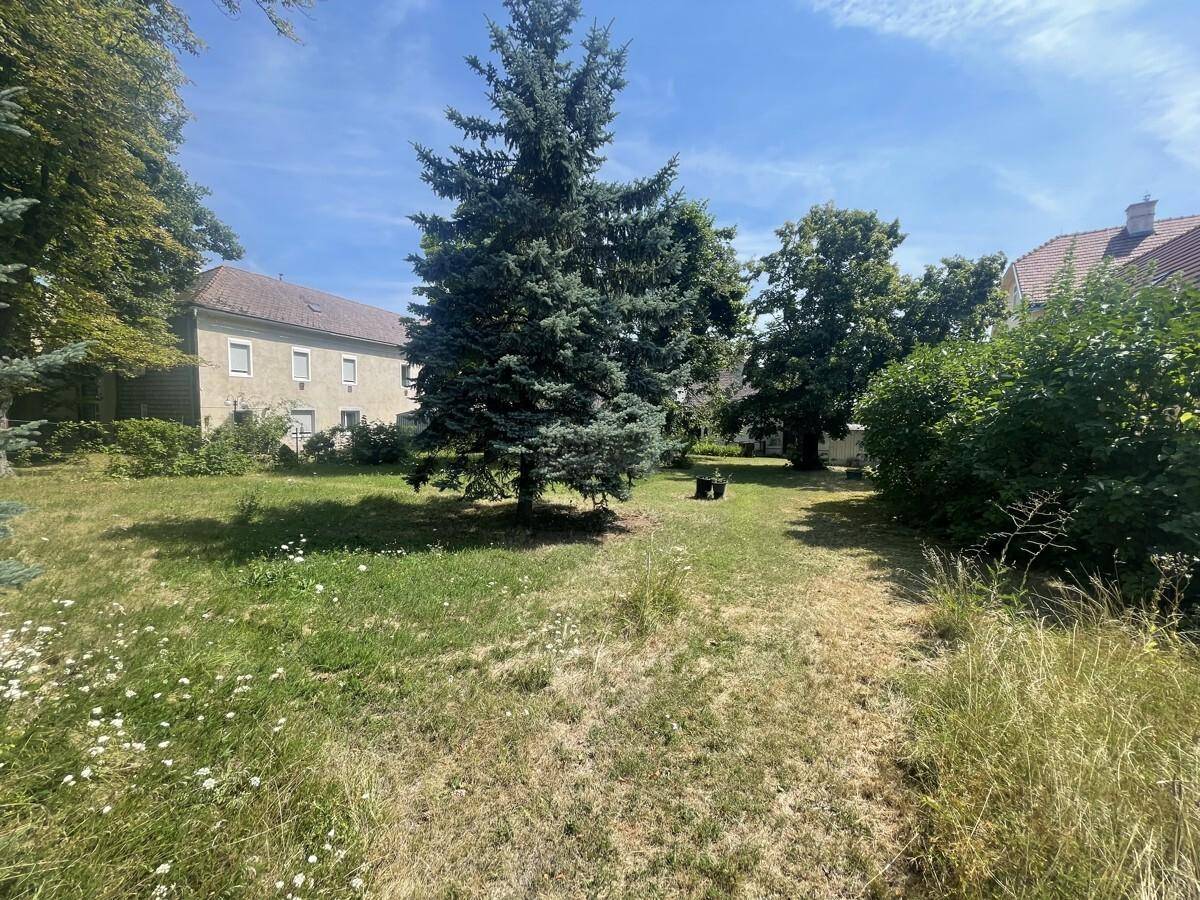 Weitläufiger Garten mit altem Baumbestand und Blick auf die angrenzenden Wohngebäude.