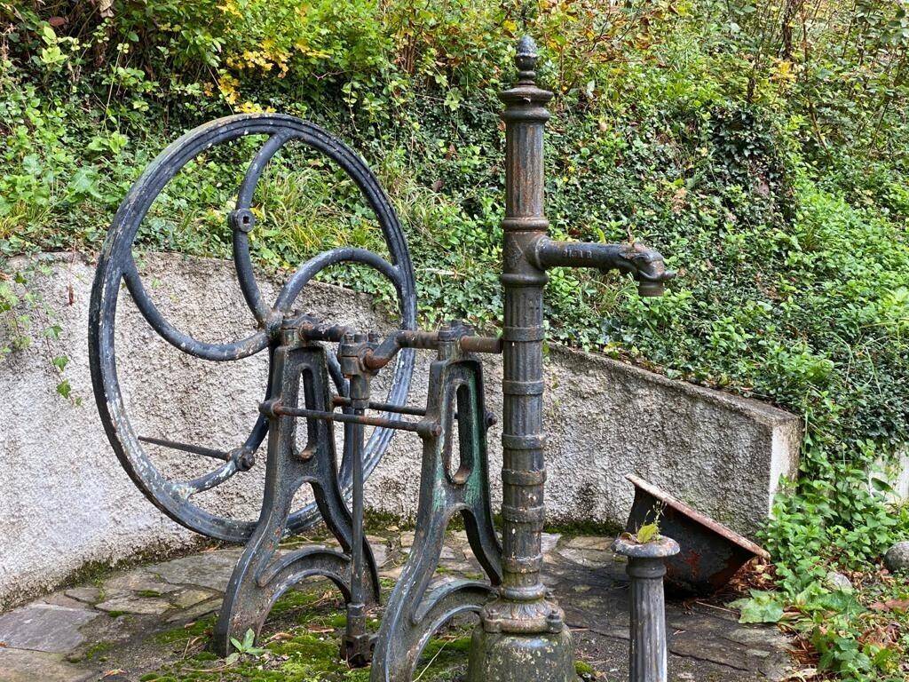 Nahaufnahme der alten Wasserpumpe mit großem Rad, umgeben von Grünpflanzen.