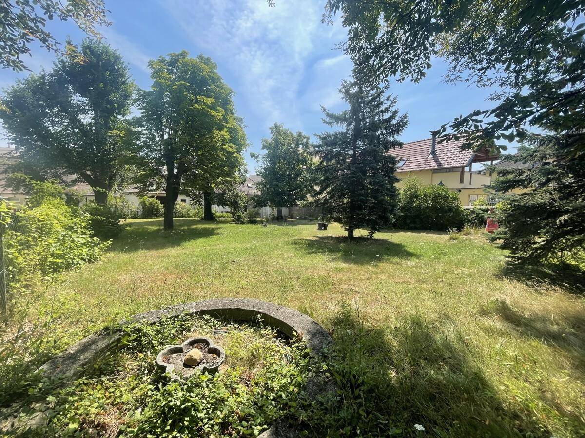 Großer, verwilderter Gartenbereich mit altem Baumbestand und Blick auf umliegende Gebäude.